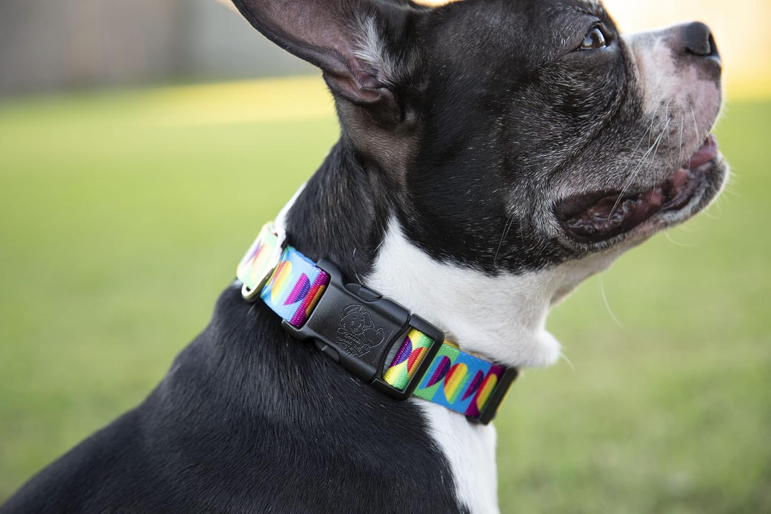 Country Brook Design - Rainbow Hearts Polyester Webbing
