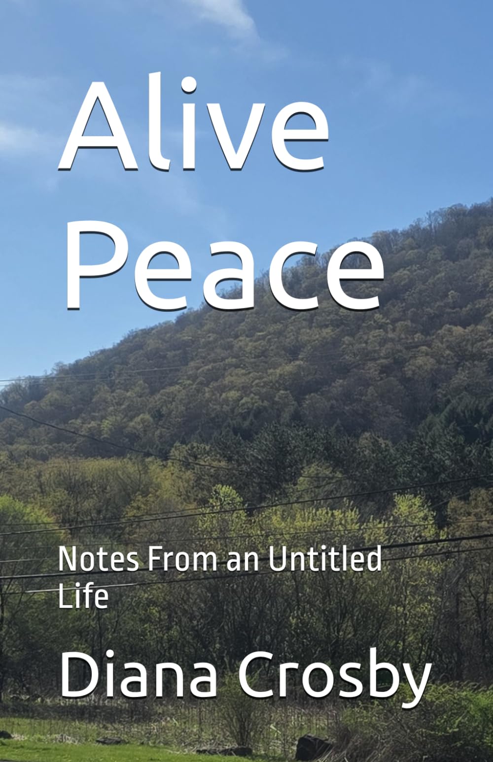 Alive Peace: Notes From an Untitled Life