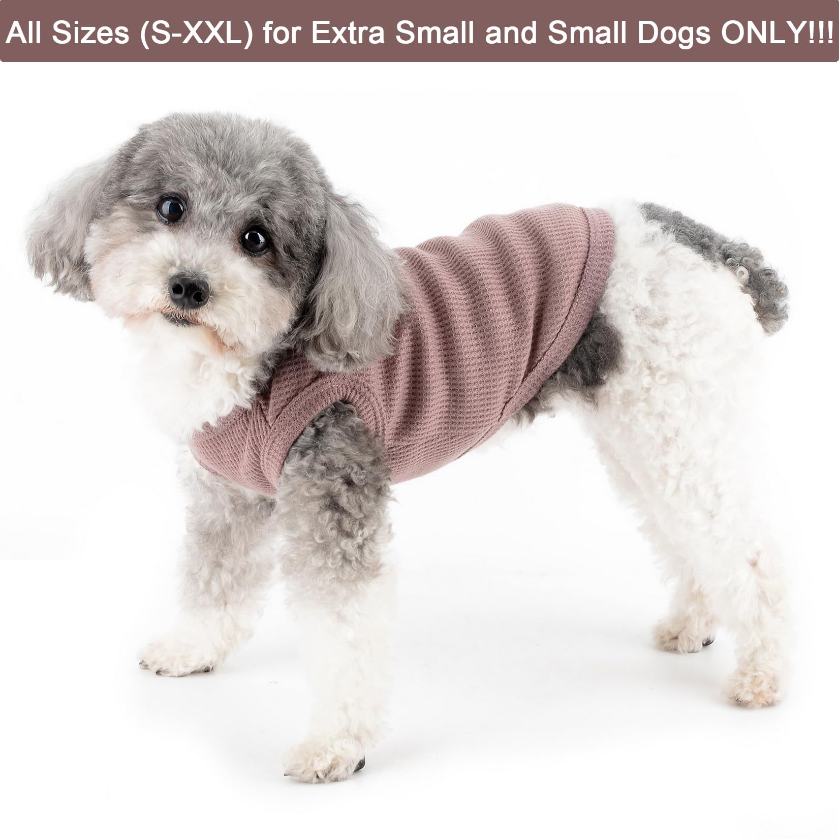 Zunea Dog Shirts for Small Dogs Summer Vest T-Shirt Soft Breathable Puppy Clothes Basic Tee Shirt Pet Sleeveless Tank Top Chihuahua Yorkie Cat Sweatshirt Apparel Purple XXL - Image 2