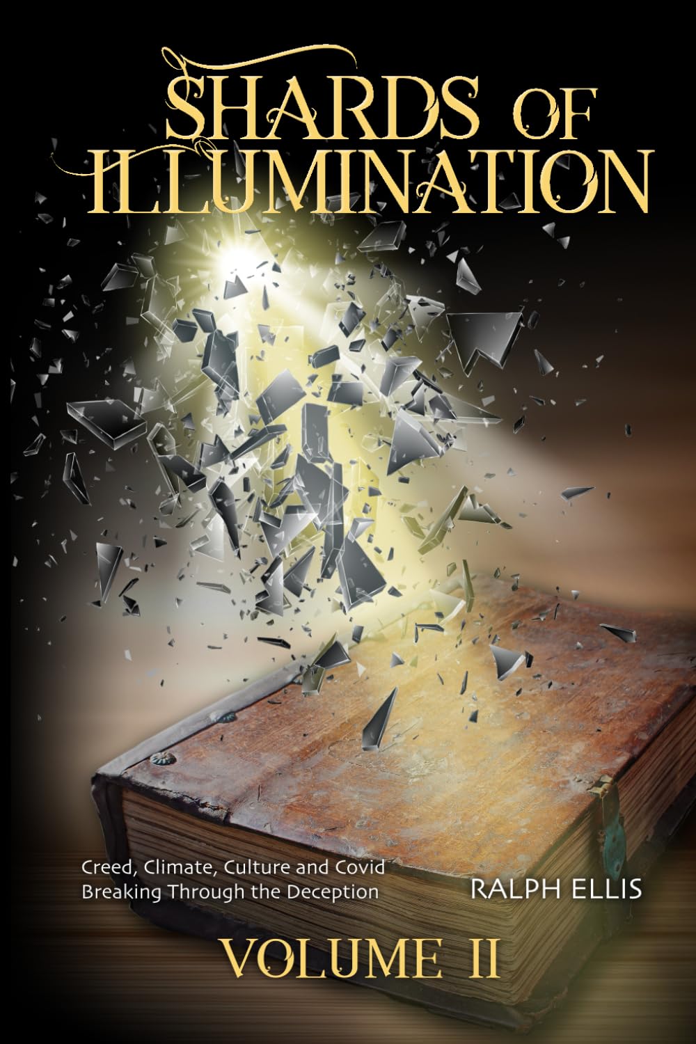 Shards of Illumination II: Breaking Through More Disinformation (The Shards of Illimination Trilogy)