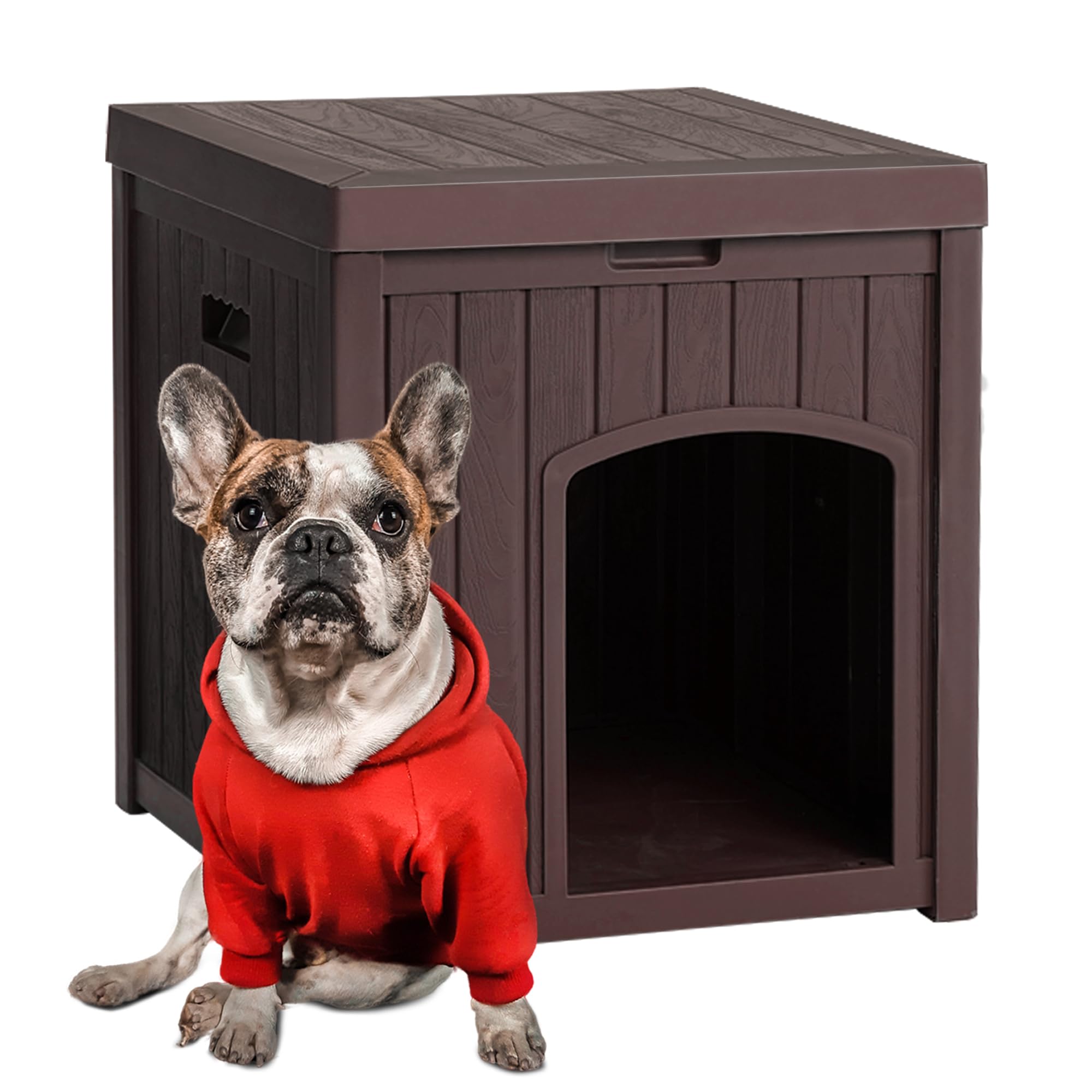 Dog Breed Dogeden Xl Jomon Shiba Inu Giống Chó Shiba Vi Sinh Cá