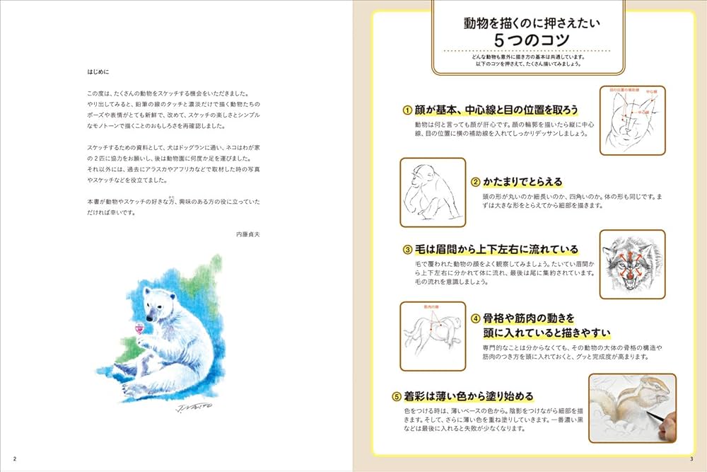 動物を描こう | 内藤 貞夫 |本 | 通販 | Amazon