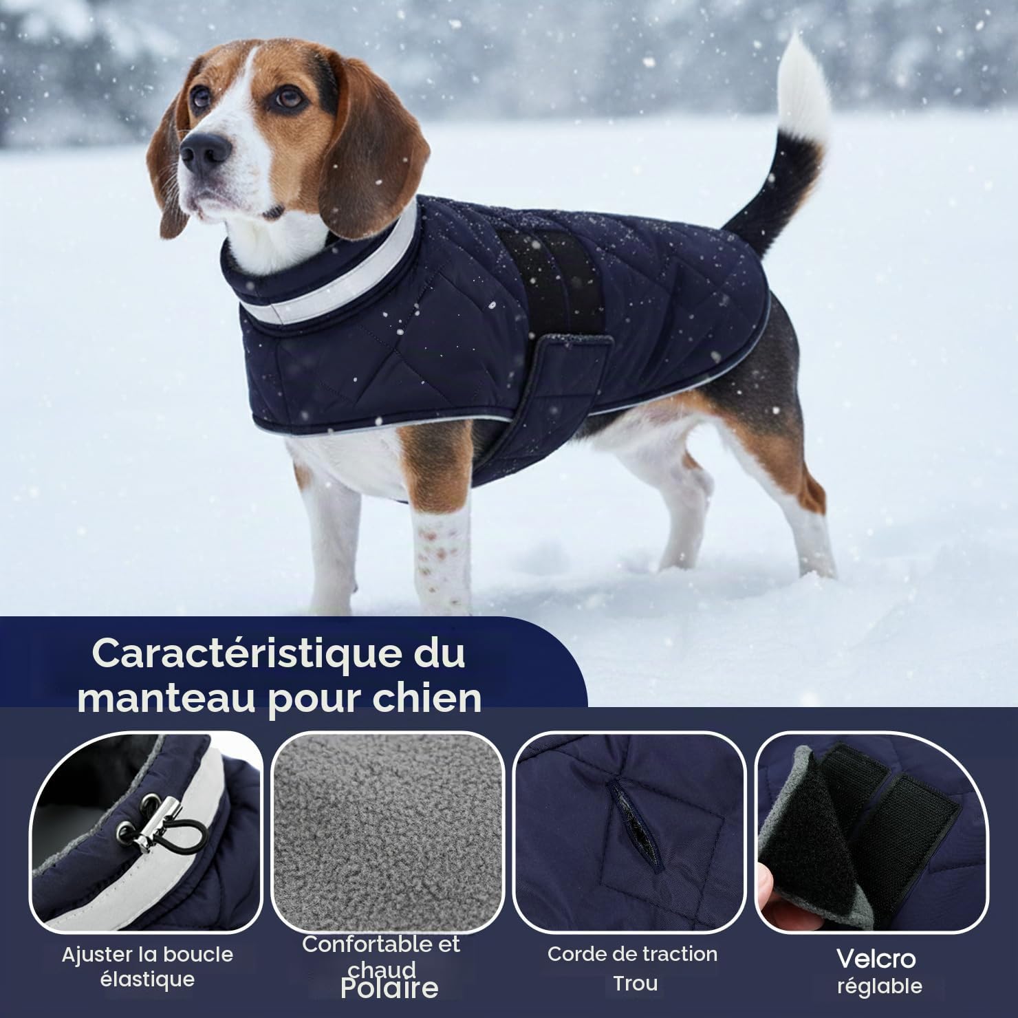 ASENKU Manteau Chien Hiver M pour Chien Moyen, Veste Imperméable Coupe-Vent Réfléchissante, Doublure Polaire Chaude, Taille Ajustable, Ouverture Collier – pour Beagle, Teckel, Cavalier King Charles
