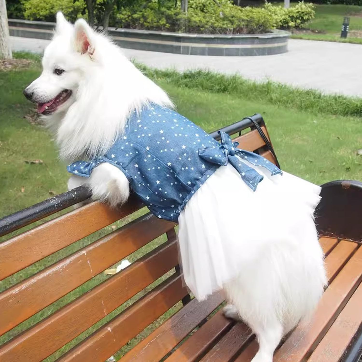 Amazon.com : Polka Dot Big Large Dog Princess Dress Tutu Skirt