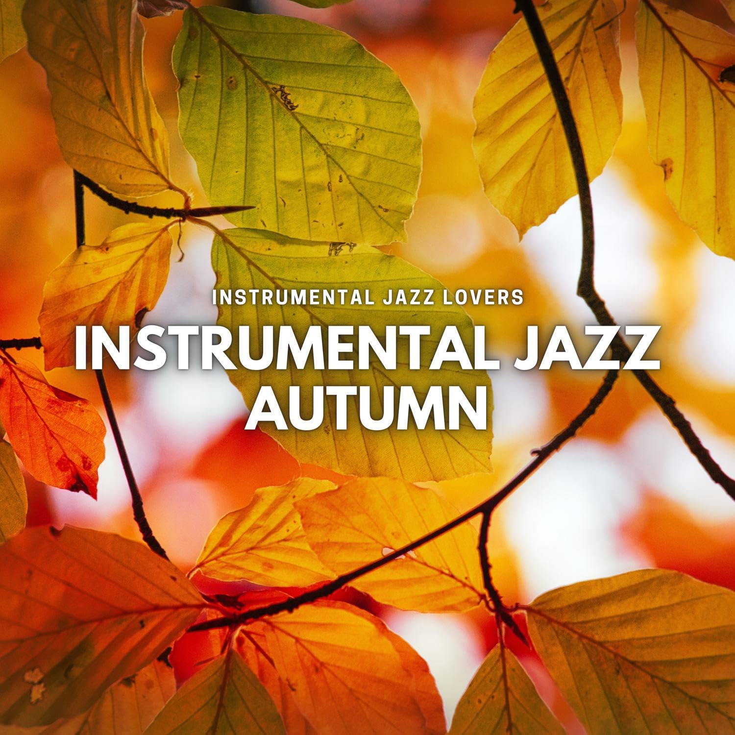 Instrumental Jazz Lovers