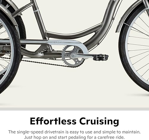 Miniatura 9 de Schwinn Meridiano