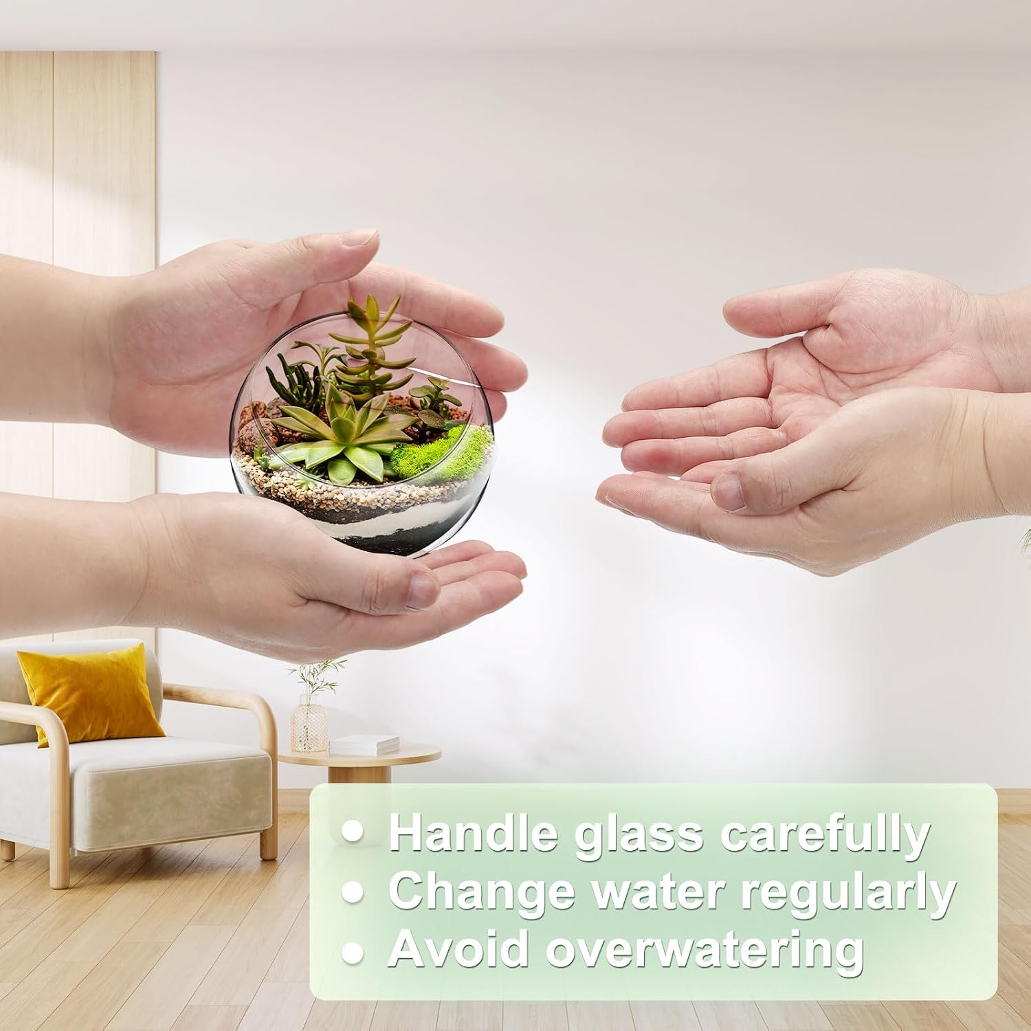 M METERXITY 1-Pack Clear Glass Air Plant Terrarium, 3.5 Inch Wide Mouth Angled Plant Display Glass for Windowsill/Outdoor Garden/Home Decor, Flat Bottom Globe Bowl Terrarium [Transparent] image 4
