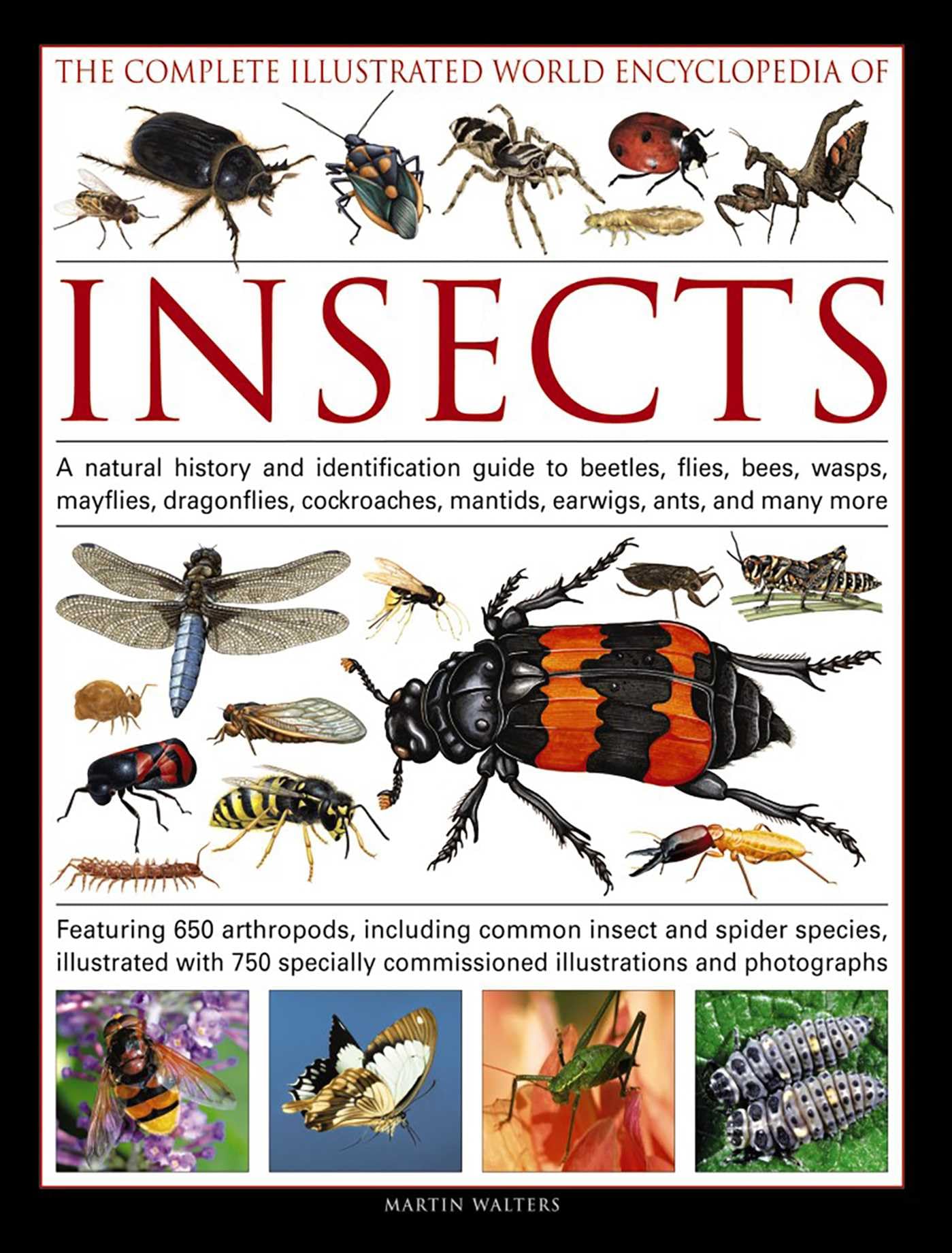 The Complete Illustrated World Encyclopedia of Insects: A Natural History And Identification Guide To Beetles, Flies, Bees, Wasps, Mayflies, ... Mantids, Earwigs, Ants, And Many More