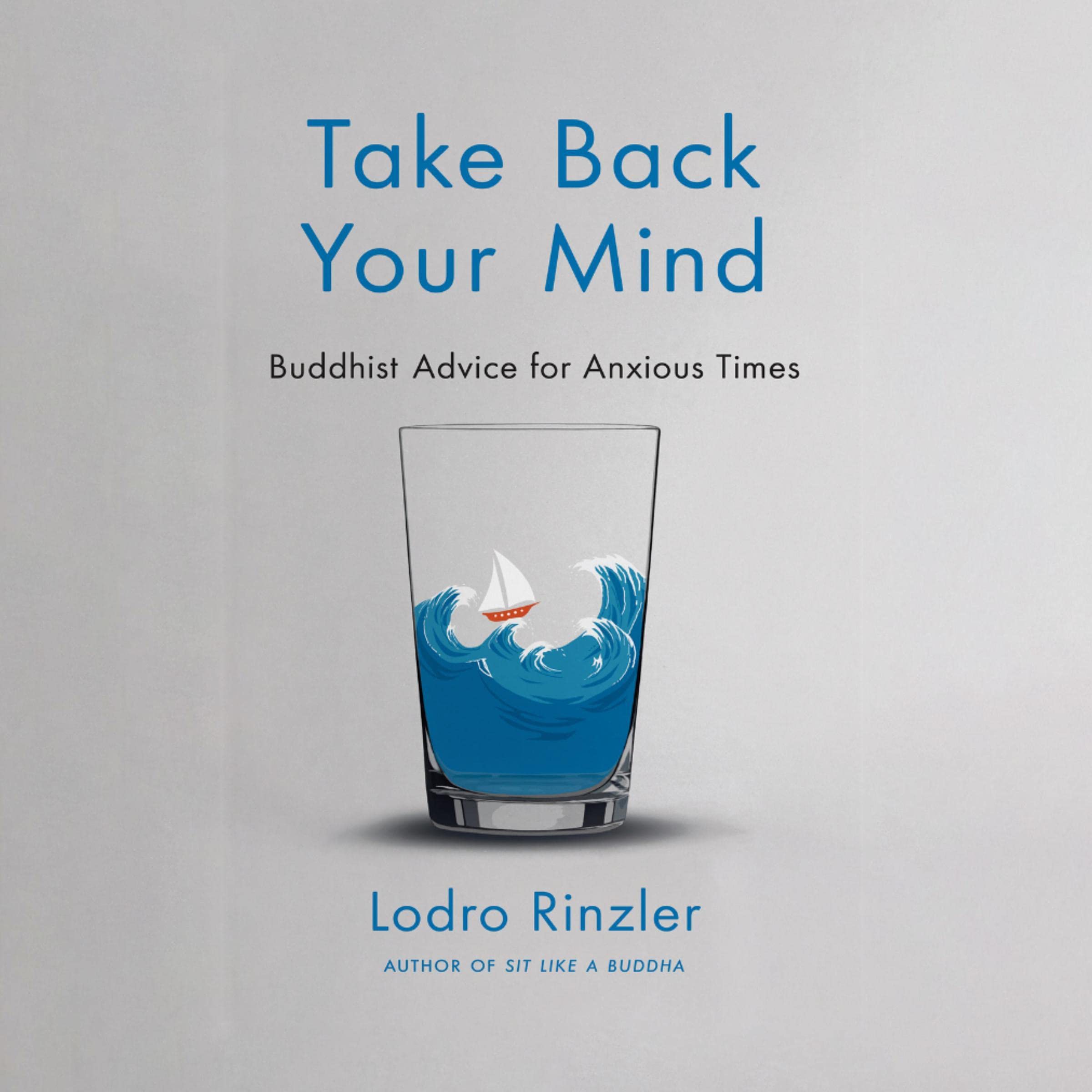 Cover art for Take Back Your Mind