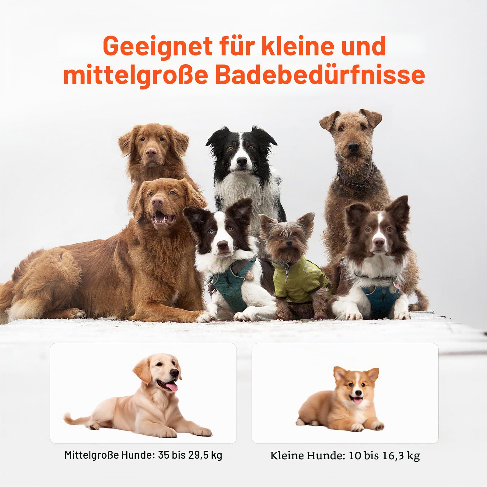 VEVOR Tragbare Hundebadewanne, erhöhte & zusammenklappbare, Haustierbadewanne mit Schnellentwässerung, Badewanne zum Waschen & Pflegen Kleiner & mittelgroßer Hunde und Katzen, Hellblau