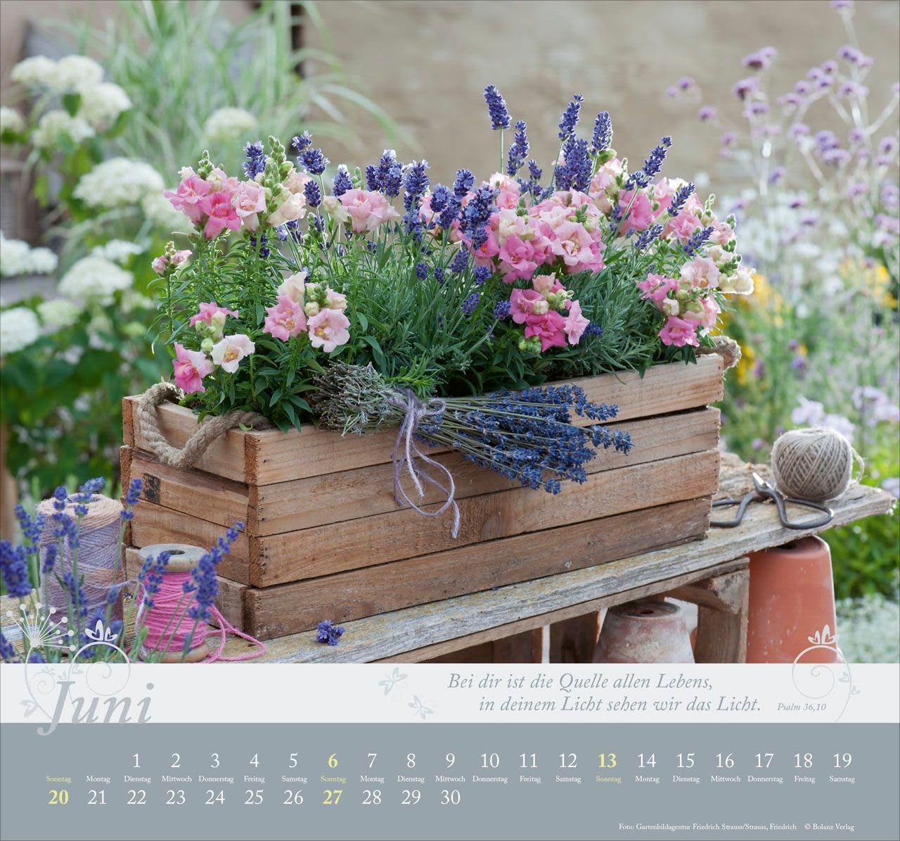 Im Garten zuhause 2027 – Wandkalender