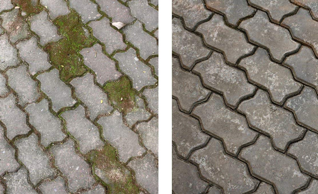 Cleanprince 6 x 1 Litros = 6 Frente 1000ML Alto Concentrado Suelos Verdes Retirar Eliminador Limpiador Musgo Algas Madera Cristal Hormigón Piedra Natural Mármol Placas 1 Fachadas Pasarelas Hof Terraza
