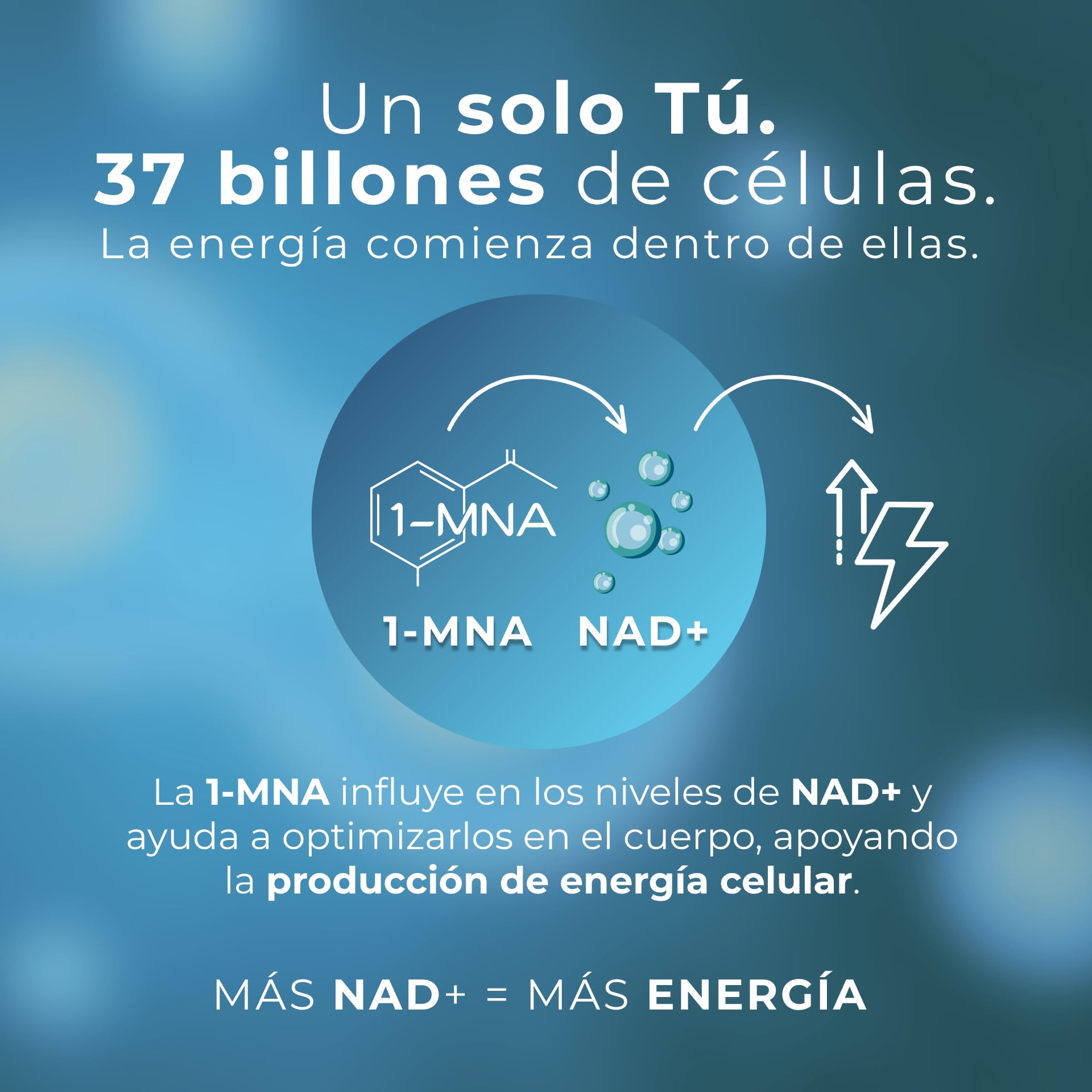 1-MNA Brain, Suplemento Antiedad, Optimiza NAD+ con Ginkgo Biloba, Zinc, Biotina, Vitaminas C, B1, B5, B6, B12, Biohacking, Salud Celular, Memoria, Enfoque, 30 Cápsulas