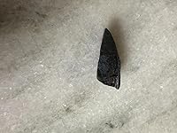 Review Image by Basya Marcus Basya Marcus