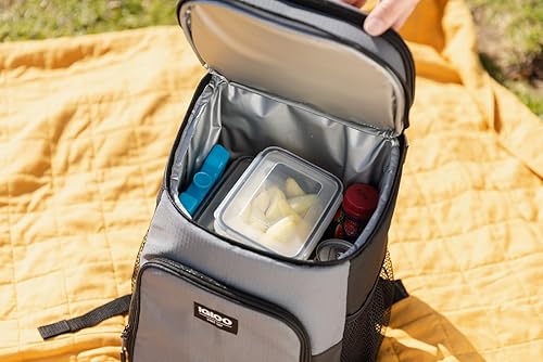 Miniatura 68 de Igloo Maxcold Ice Block Cubo