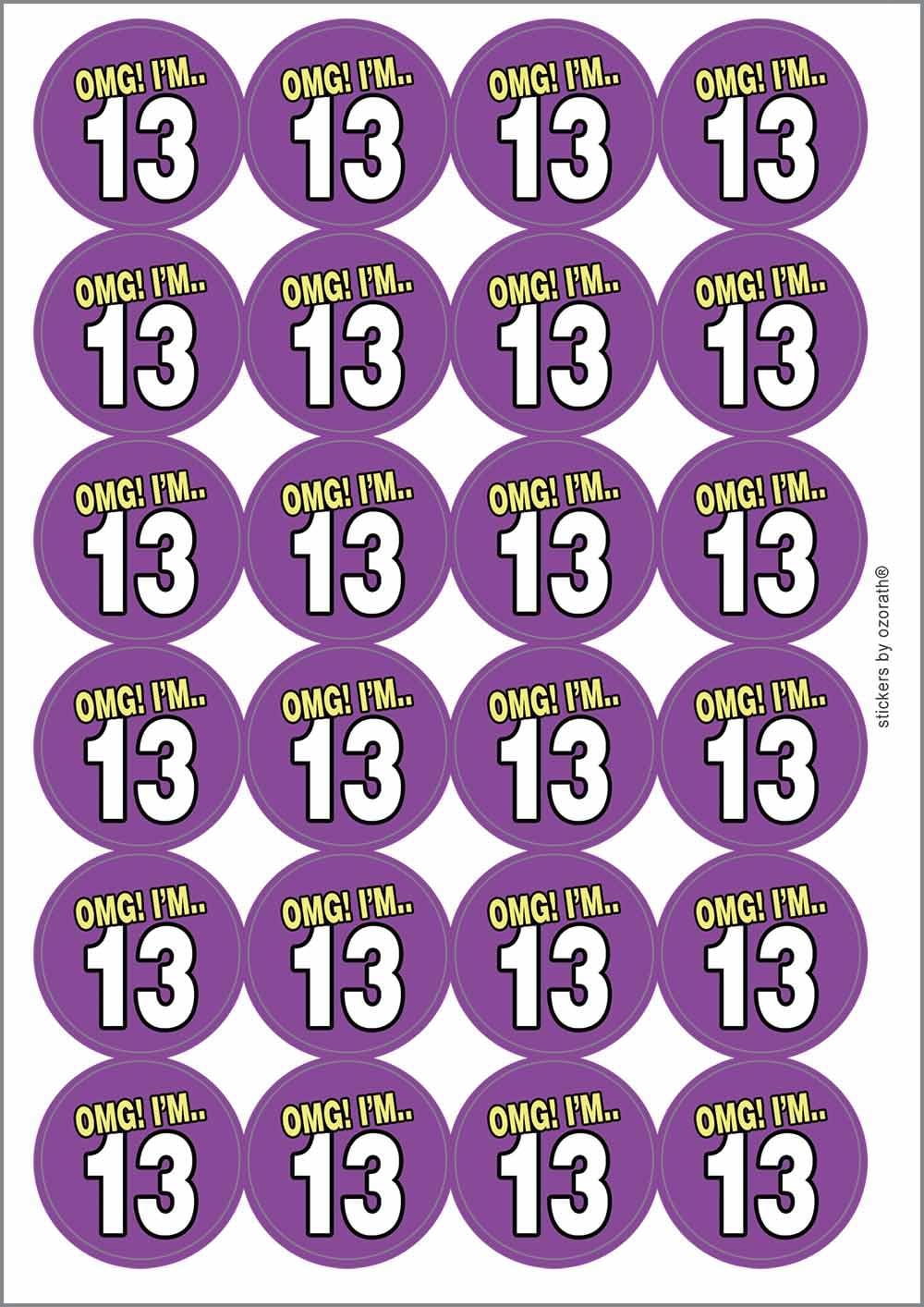13th Thirteenth Birthday OMG Funny Circular Matt Paper Stickers A4 Sheet of 24 (Each Sticker is 45mm Diameter)