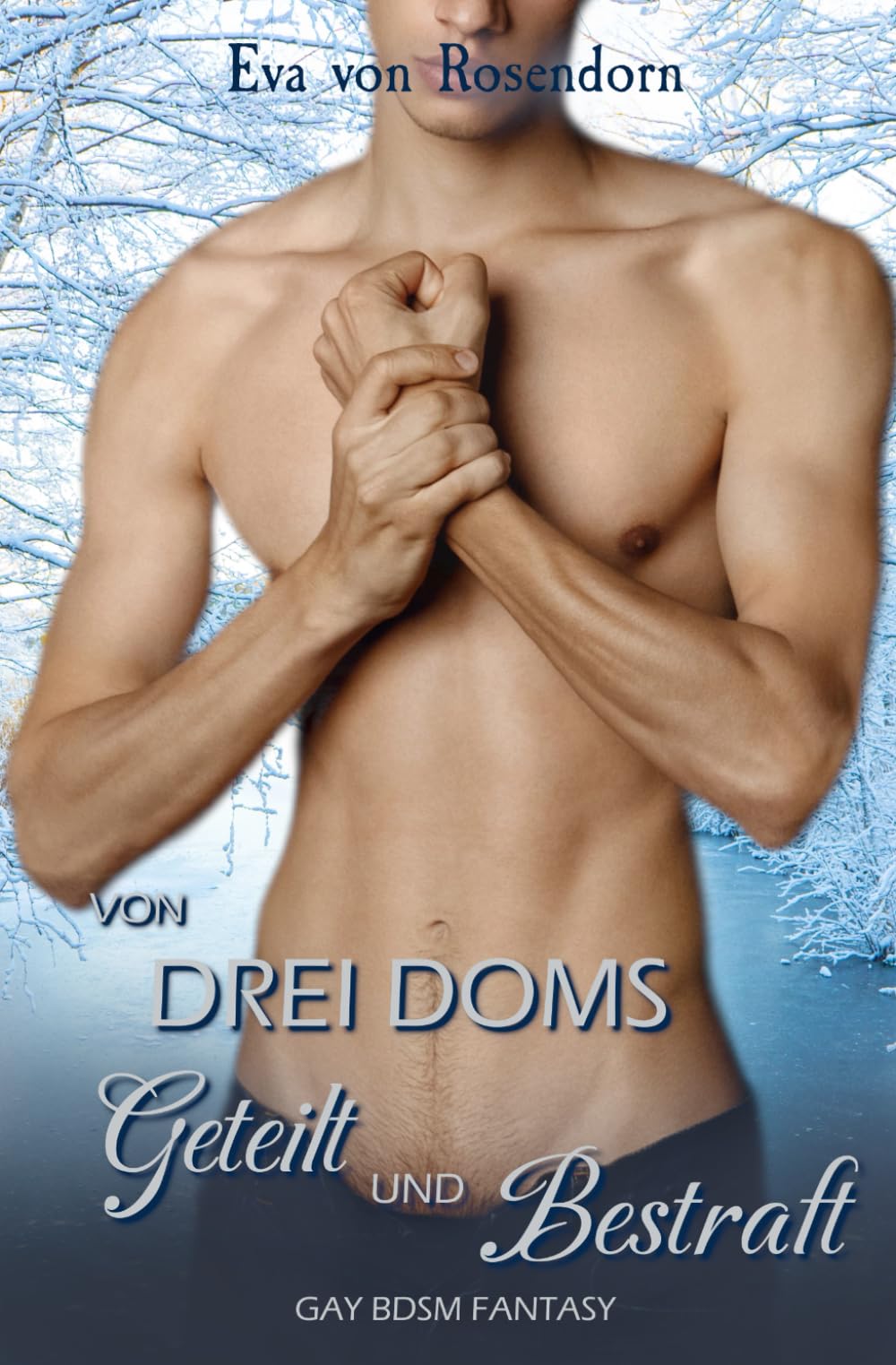 Von drei Doms geteilt und bestraft: Gay BDSM Fantasy (Der Frostelf und sein Dom-Harem)