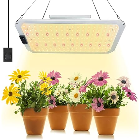 grow lights for veg and flowering