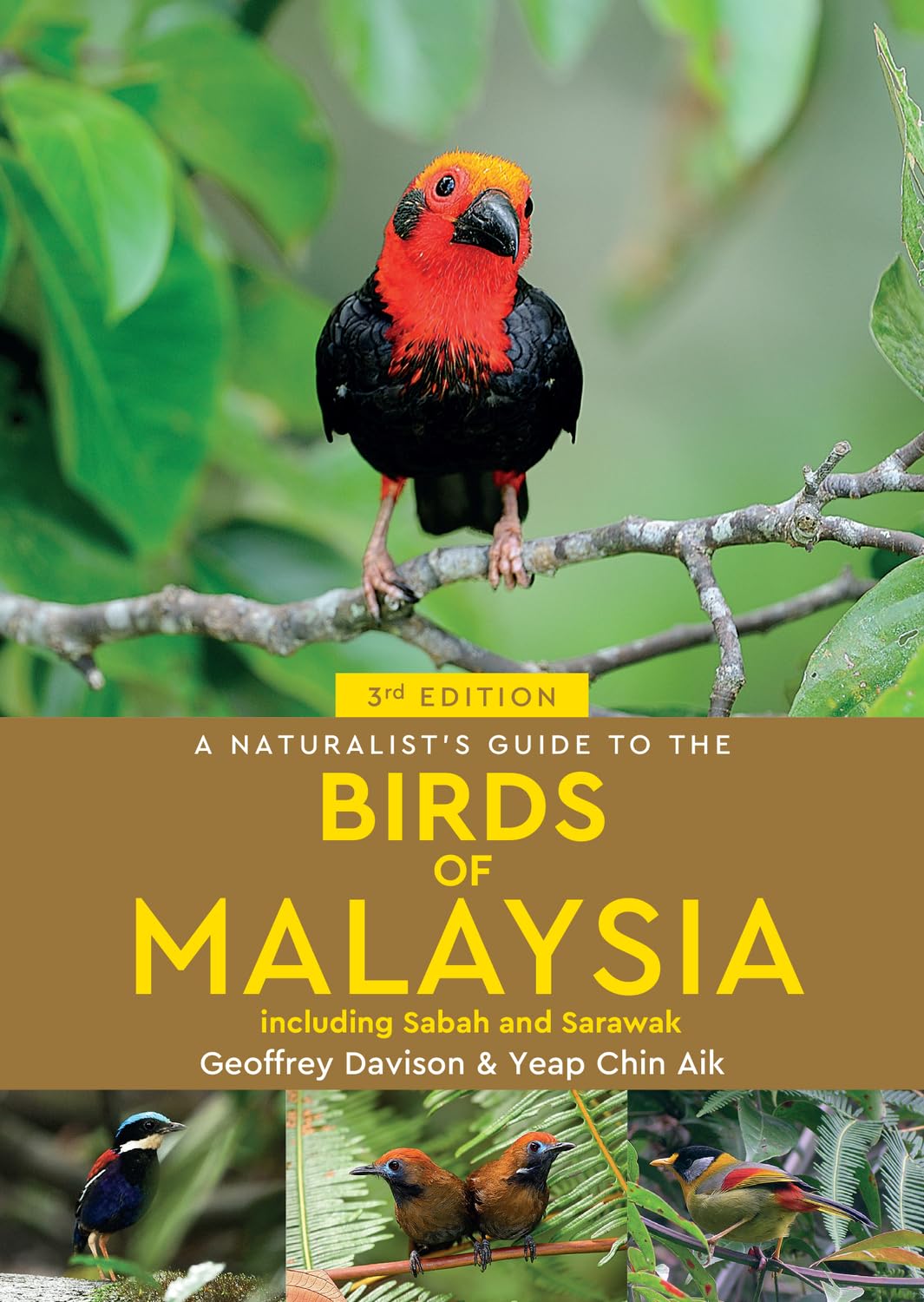 A Naturalist's Guide To Birds of Malaysia (3rd edition) (Naturalists' Guides)