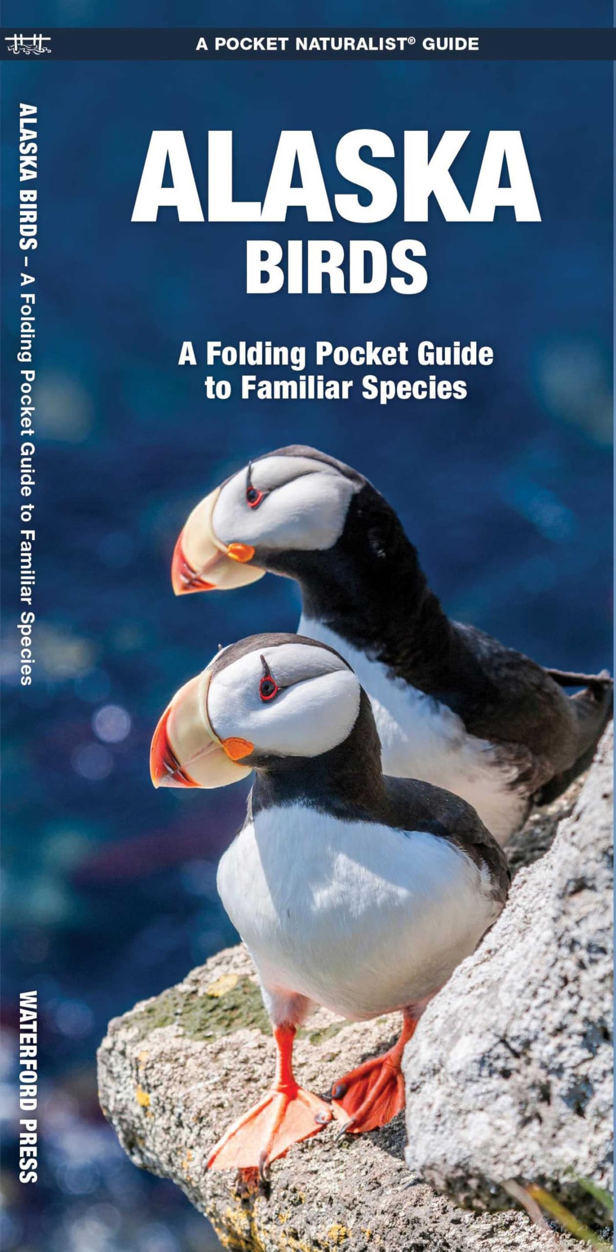 Alaska Birds: A Folding Pocket Guide to Familiar Species (A Pocket Naturalist Guide) (Pocket Naturalist Guide Series)