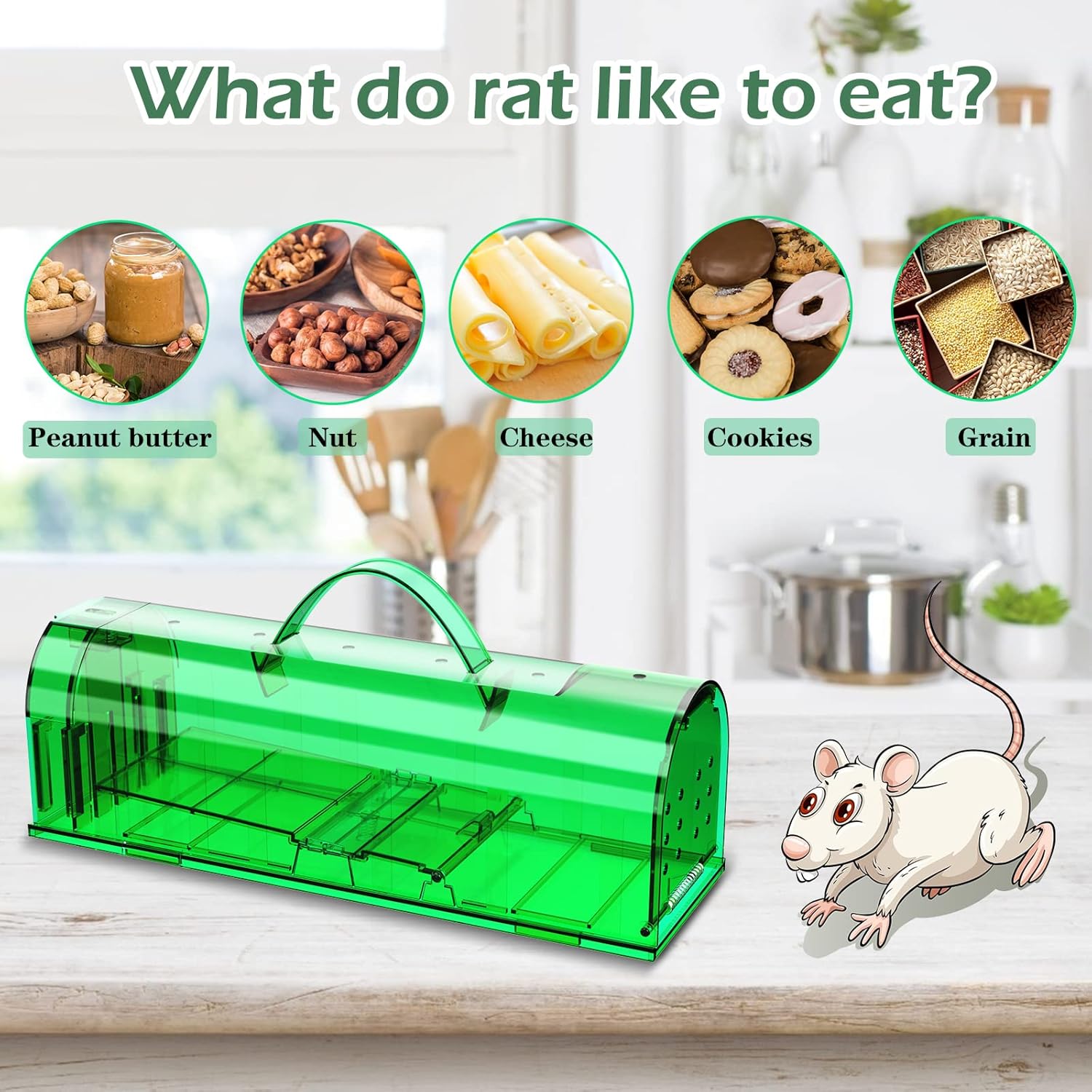 Buy Enlarged Humane Mouse Traps No Kill Rat Trap, Reusable Catch and
