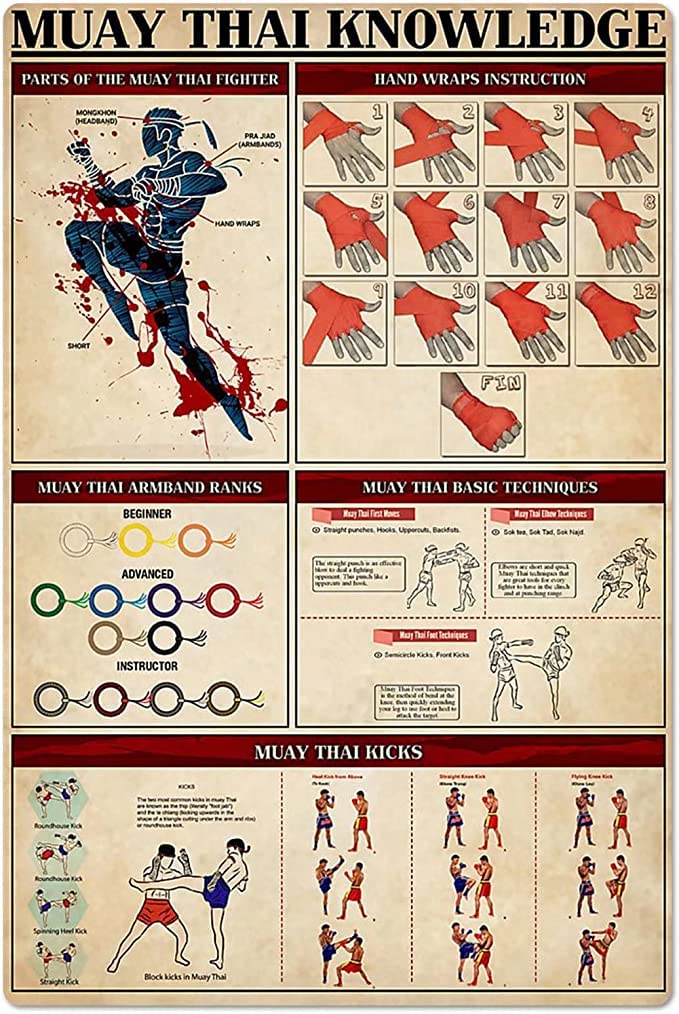 rayprint Muay Thai Infographics Tin Posters Muay Thai Knowledge Metal Signs Vintage Boxing Gym Collection Plaques Boxer Room Wall Decor 8x12inches