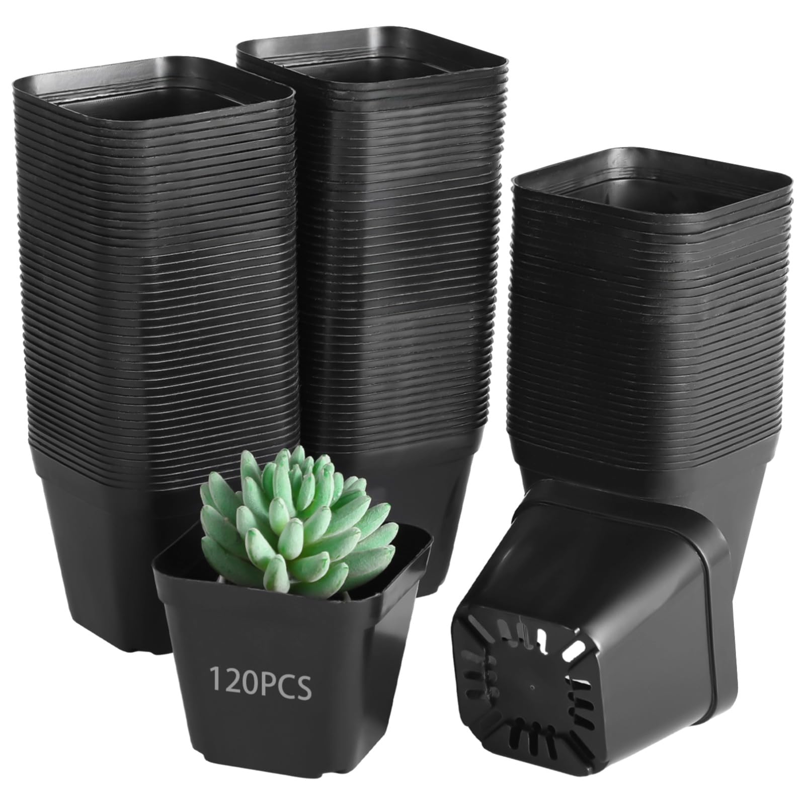 Petits pots carrés en plastique avec drainage pour réussir vos semis