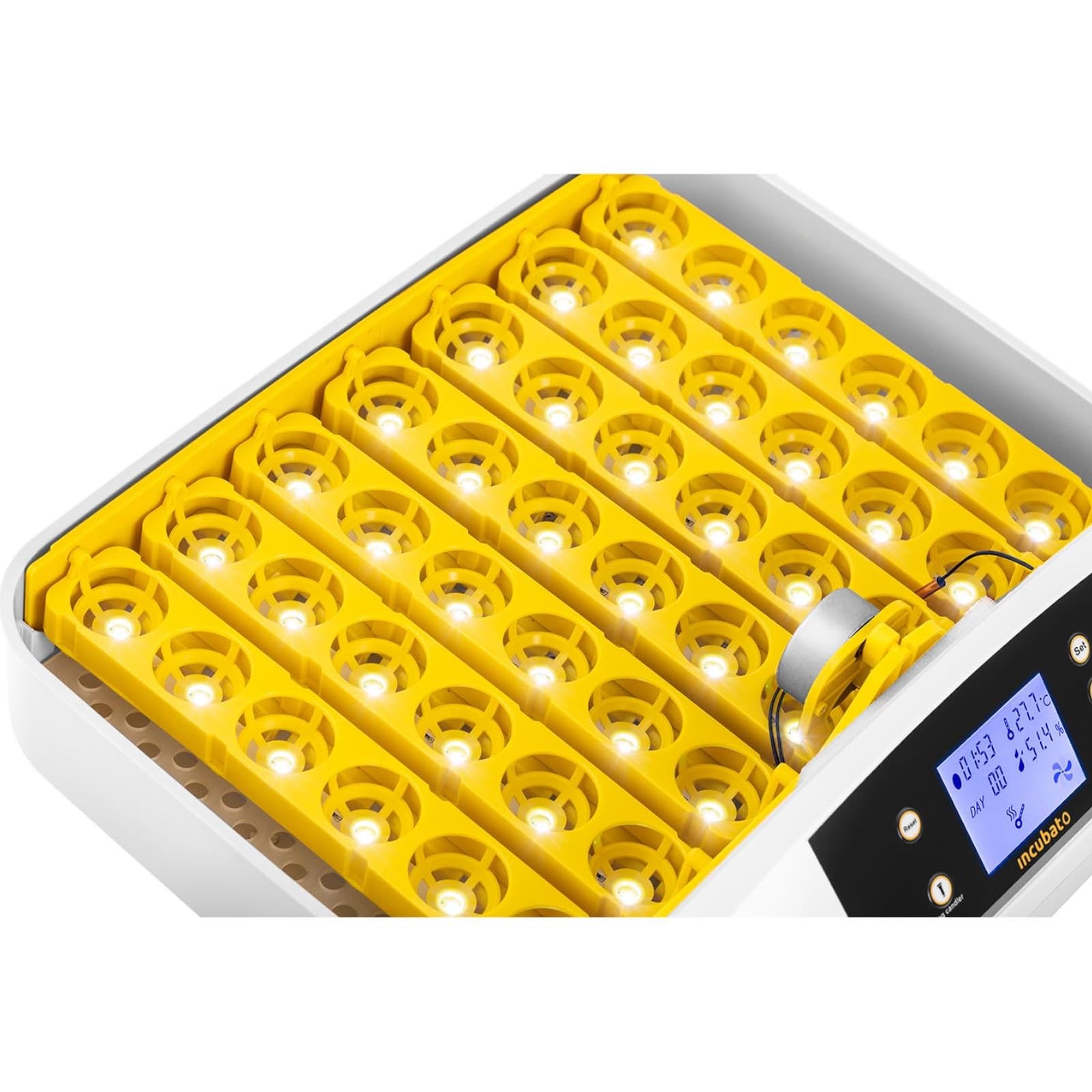 Incubadora De Huevos Aparato Incubador IN-32DDI (30-39,5 °C, hasta 42 Huevos, Ovoscopio Integrado, Totalmente automática)