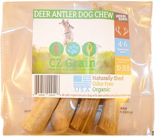 Huesos de perro masticar juguete Hueso de asta de ciervo Masticar Juguetes Para todos los perros Bueno para K9dientes Alta en minerales Cobertizo de