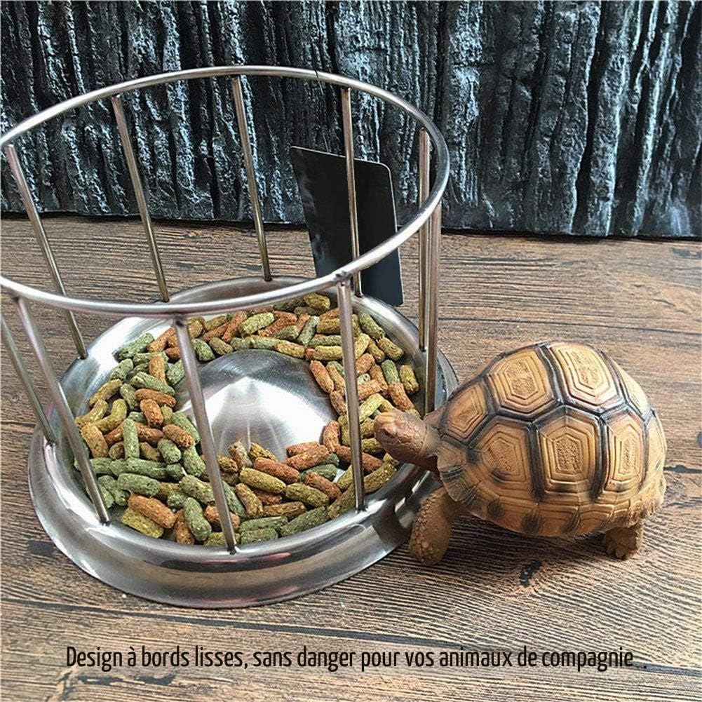 Mangeoire pour tortues reptiles, bol pour mangeoire alimentaire et nourriture pour roches durables pour reptiles pour tortues aquatiques(Grand)