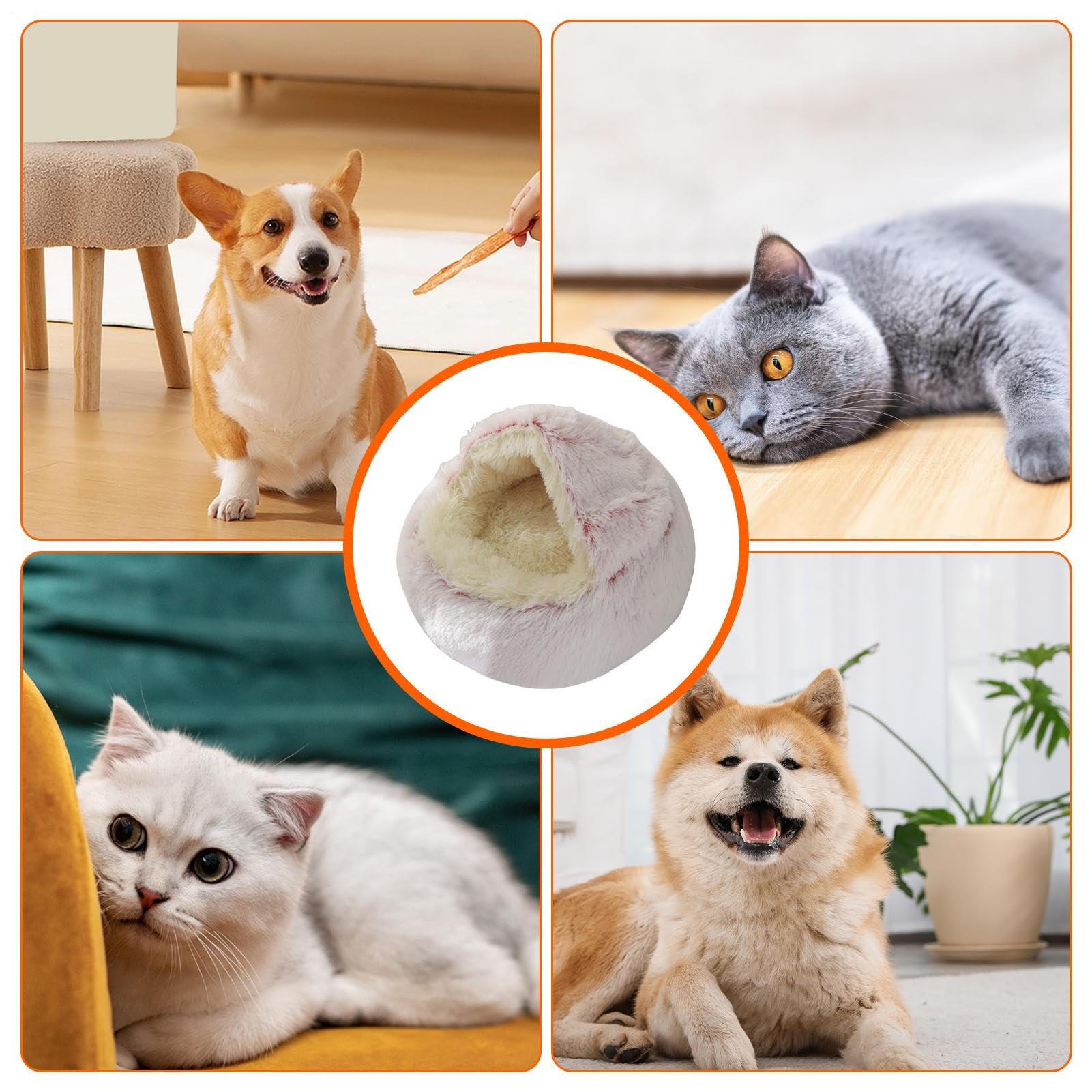 Cuccia per gatti | per gatti chiuso e calmante per animali di | piccola taglia – Cuccia per gatti lavabile in lavatrice soffice cuccia per gatti rimovibile per cani di grossa taglia, gattin