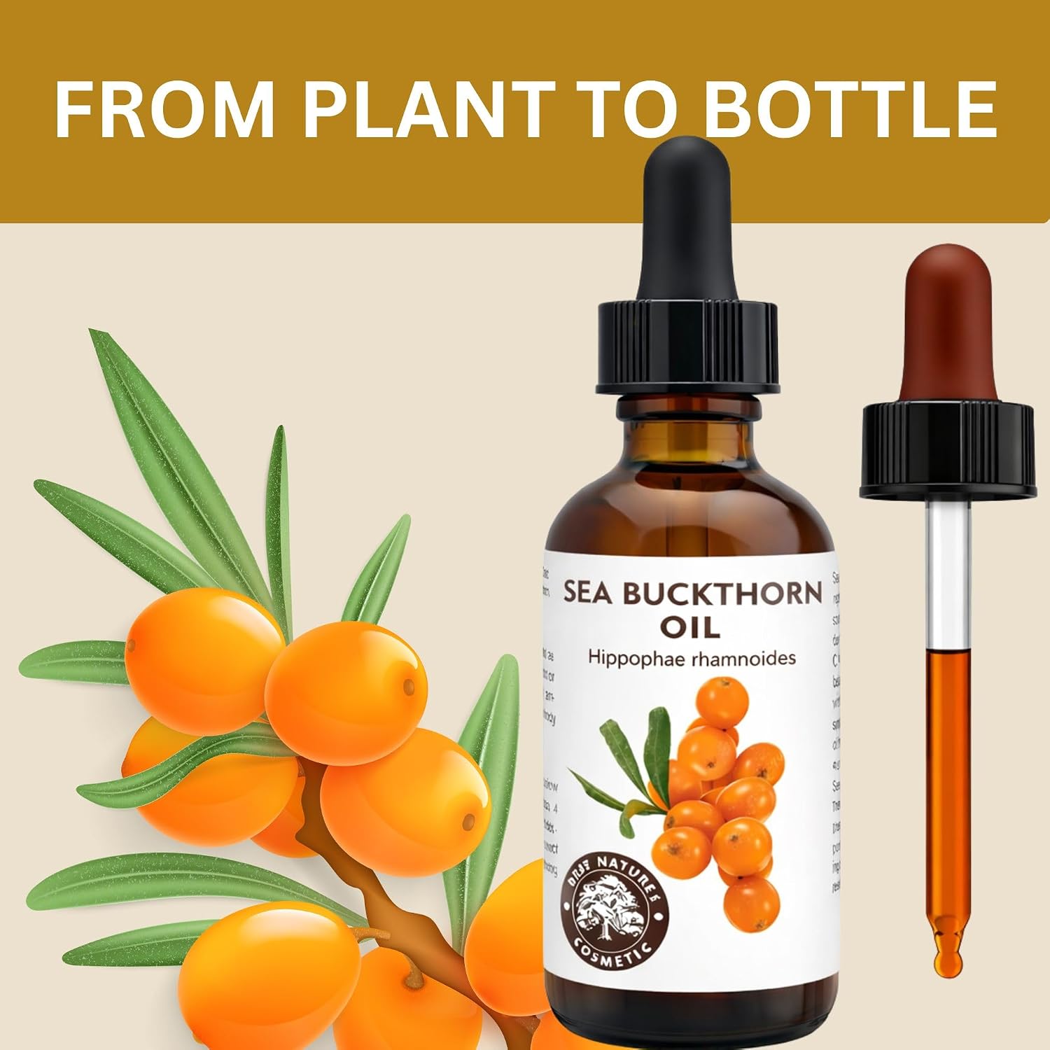 Best Nature's Cosmetics Sea Buckthorn Berry Oil – 100% Pure, Cold-Pressed & Unrefined – For Skin, Hair & Cosmetic Use – Made in Canada – 1 fl oz / 30 ml