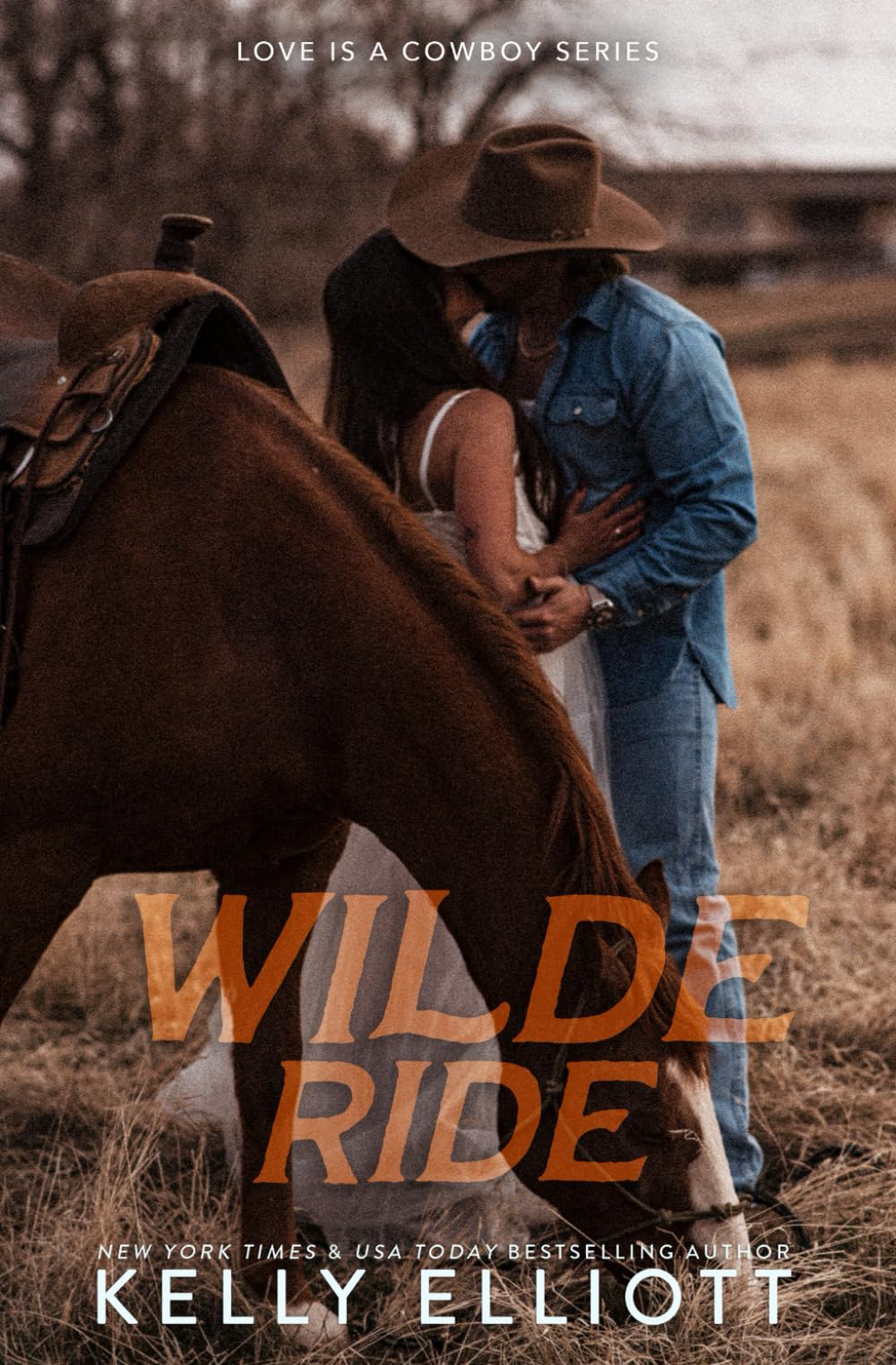 Wilde Ride (Love is a Cowboy)