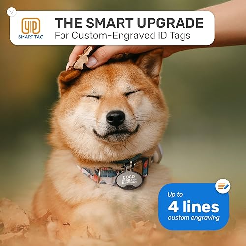 Miniatura 3 de YIP Smart Tag Etiqueta y rastreador de identificación para mascotas, funciona con teléfonos Samsung Galaxy, ovalado, plateado