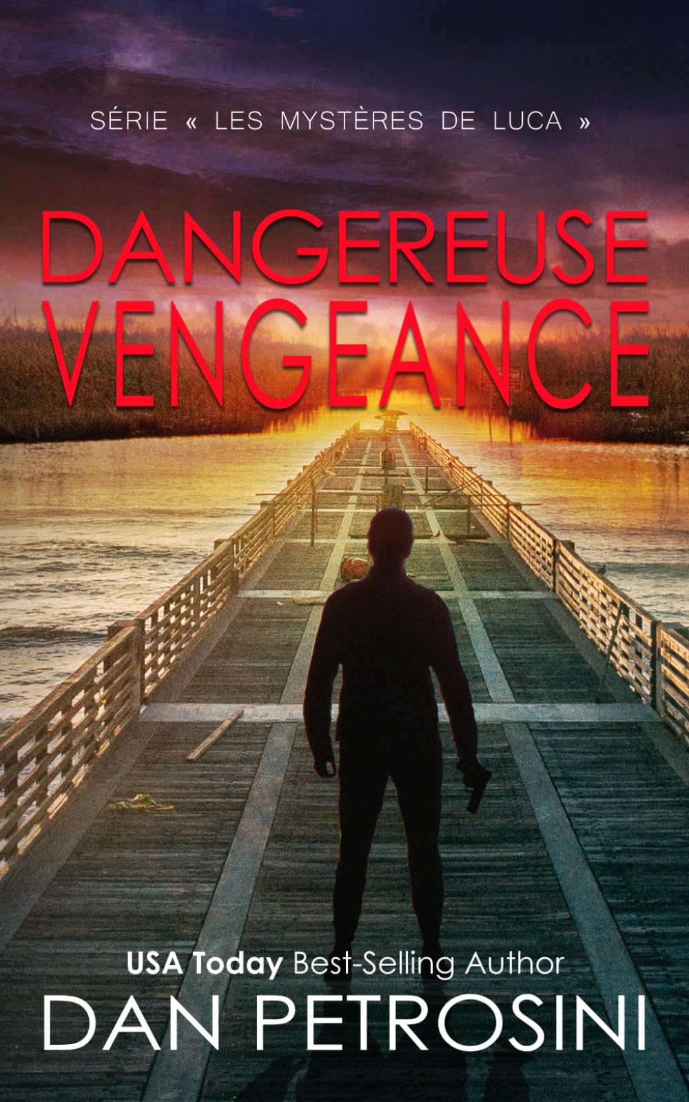 Dangereuse Vengeance (Série « Les mystères de Luca »)