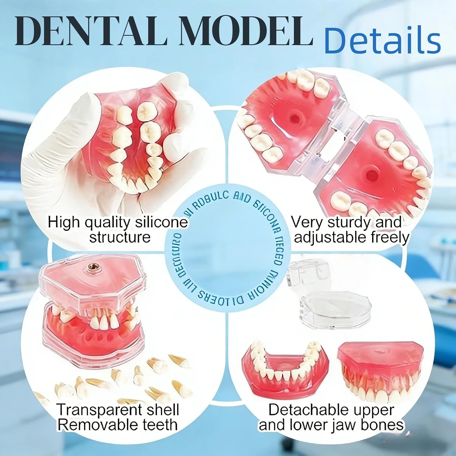 Dental Teeth Model-Dental Hygiene Student Must Haves,Teeth Practice,Typodont Teeth Model,Dental Assistant Must Haves.（Standard）
