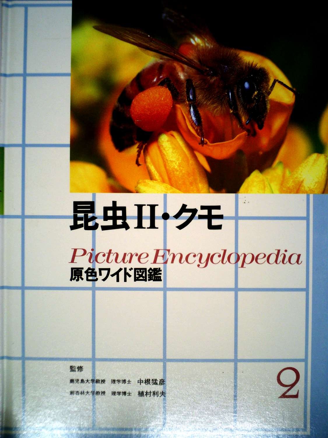 昆虫2・クモ (原色ワイド図鑑 昆虫) | 中根猛彦, 植村利夫 |本 | 通販