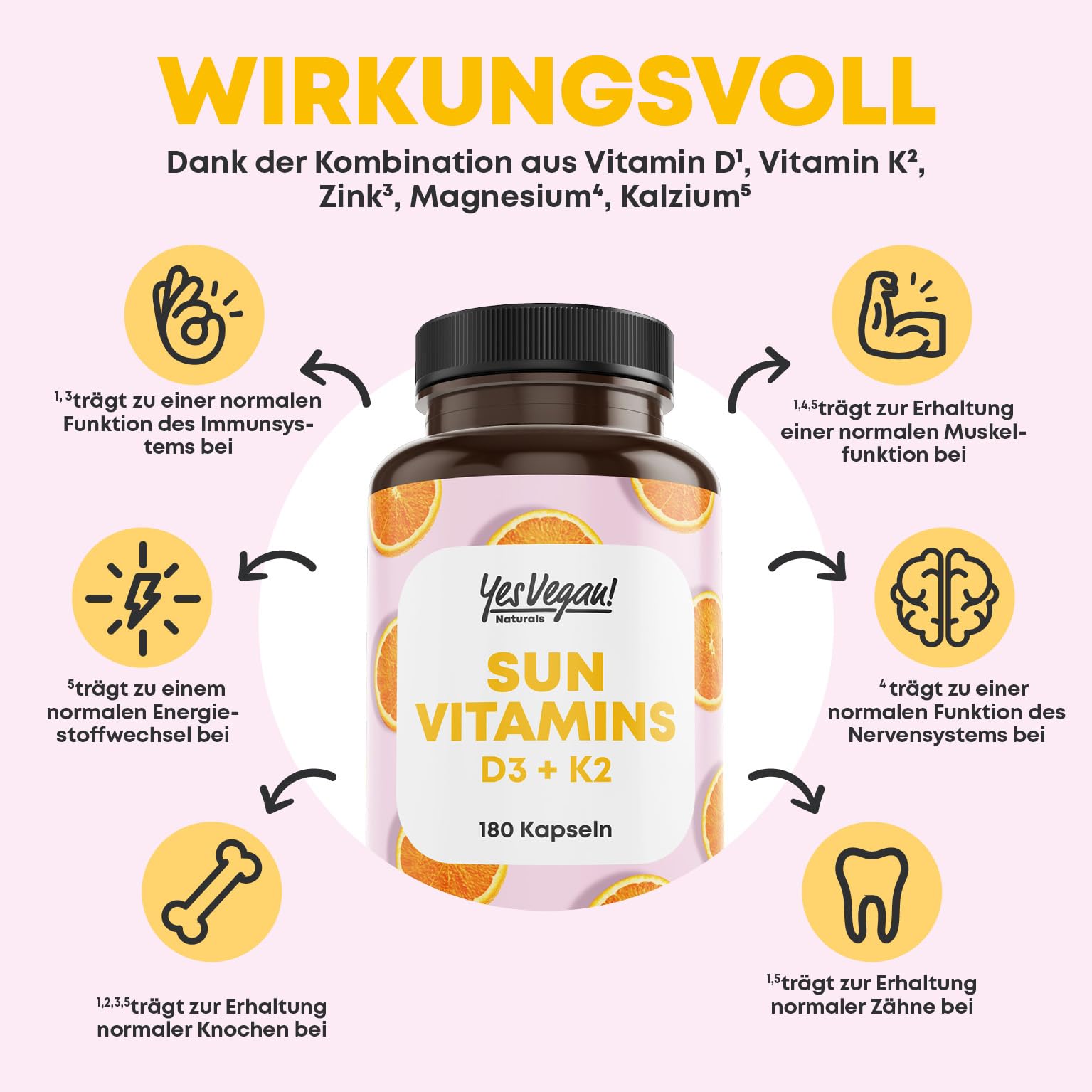 Vitamin D3 K2 Omega 3 + Calcium Magnesium und Zink - 5000 IE je Kapsel - Vitamin d hochdosiert - O3-D3-K2 6x 180 Kapseln