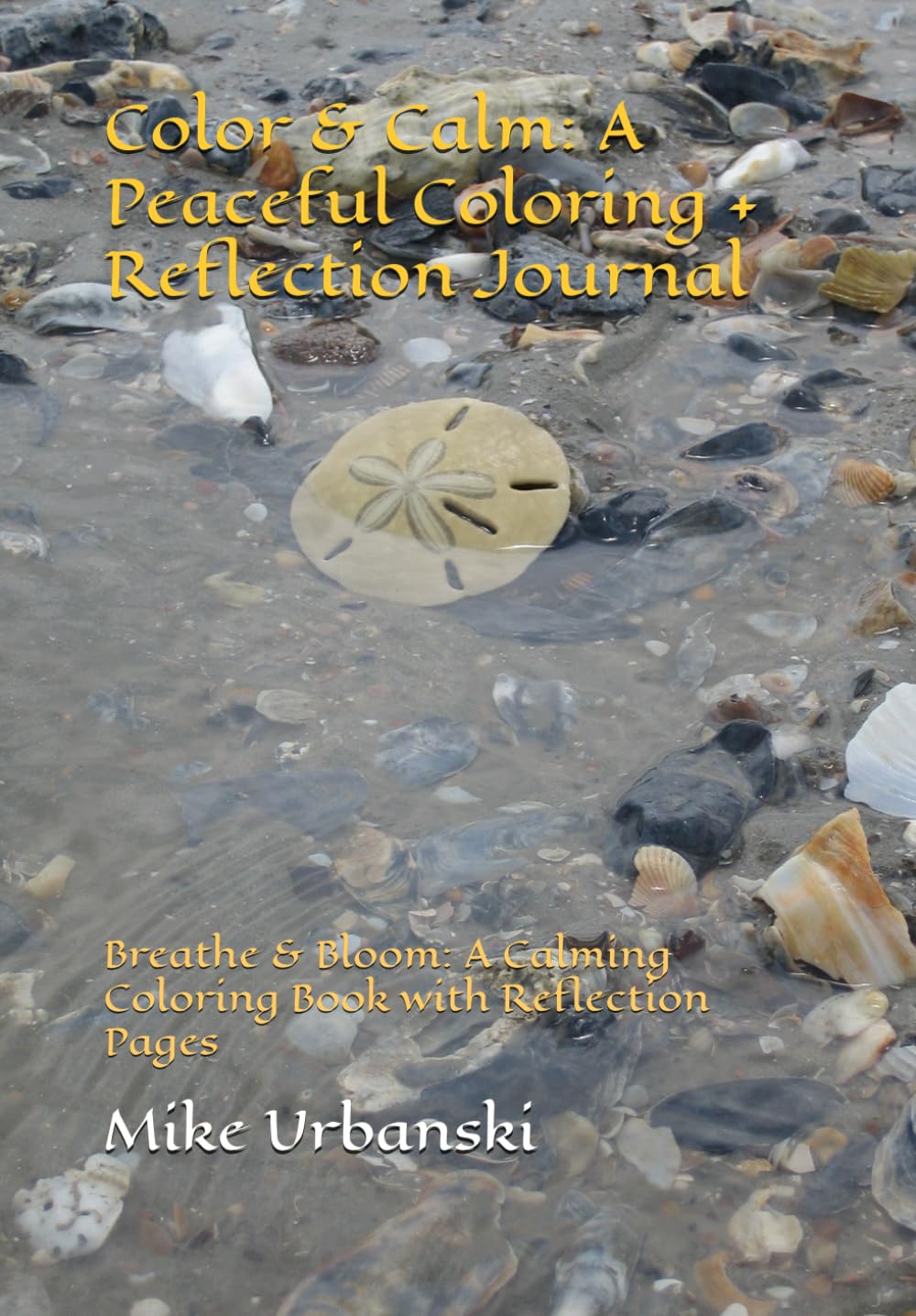 Color & Calm: A Peaceful Coloring + Reflection Journal: Breathe & Bloom: A Calming Coloring Book with Reflection Pages