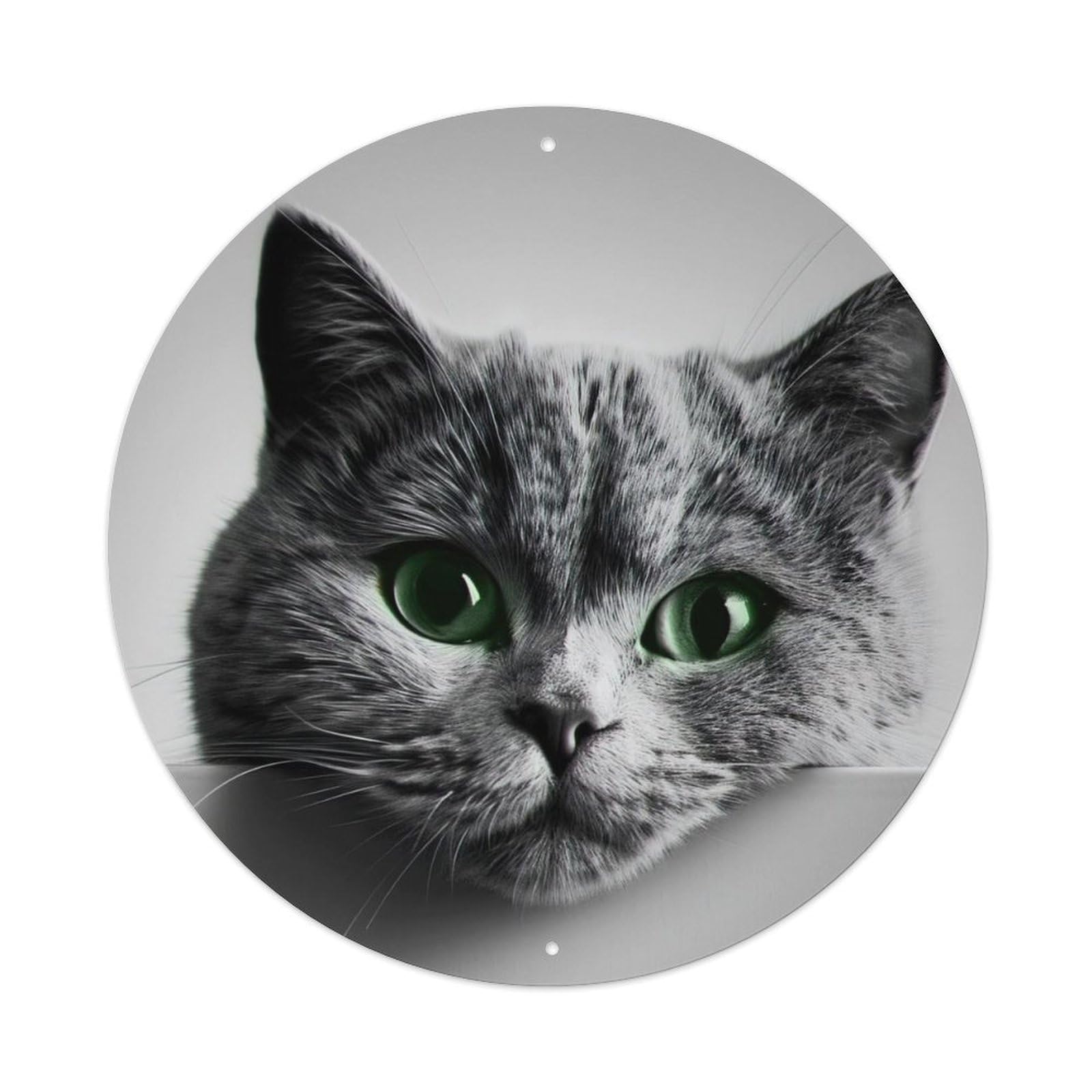 Cwbufd Vintage Style Animal British Shorthair Cat Green Eyes Close-Up Portrait Vintage Metal Tin Sign Plaque Wall Decor For Cafe, Club Bar, Office, Garden Metal Poster 8X8inch