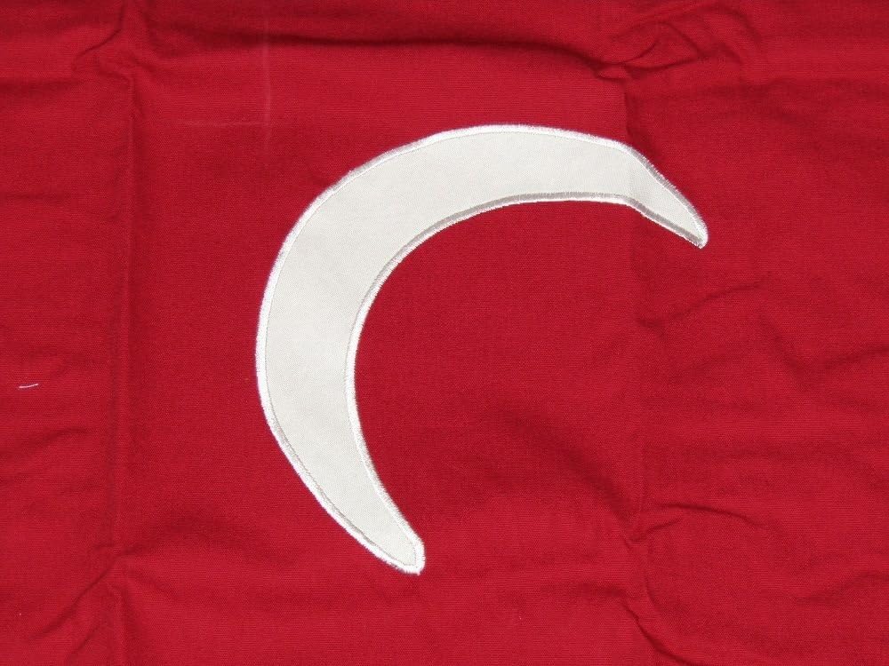 Ant Enterprises 3x5 Embroidered Sewn South Carolina Big Red SC Cotton Flag 3'x5' (100% Cotton)