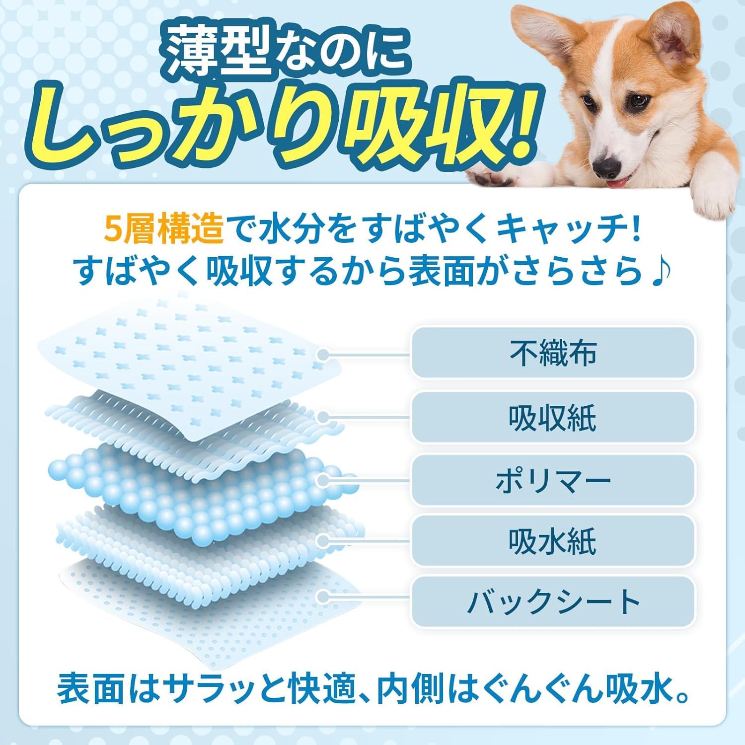 Amazon.co.jp: ペットシーツ 超薄型 レギュラー 1200枚（300枚×4袋