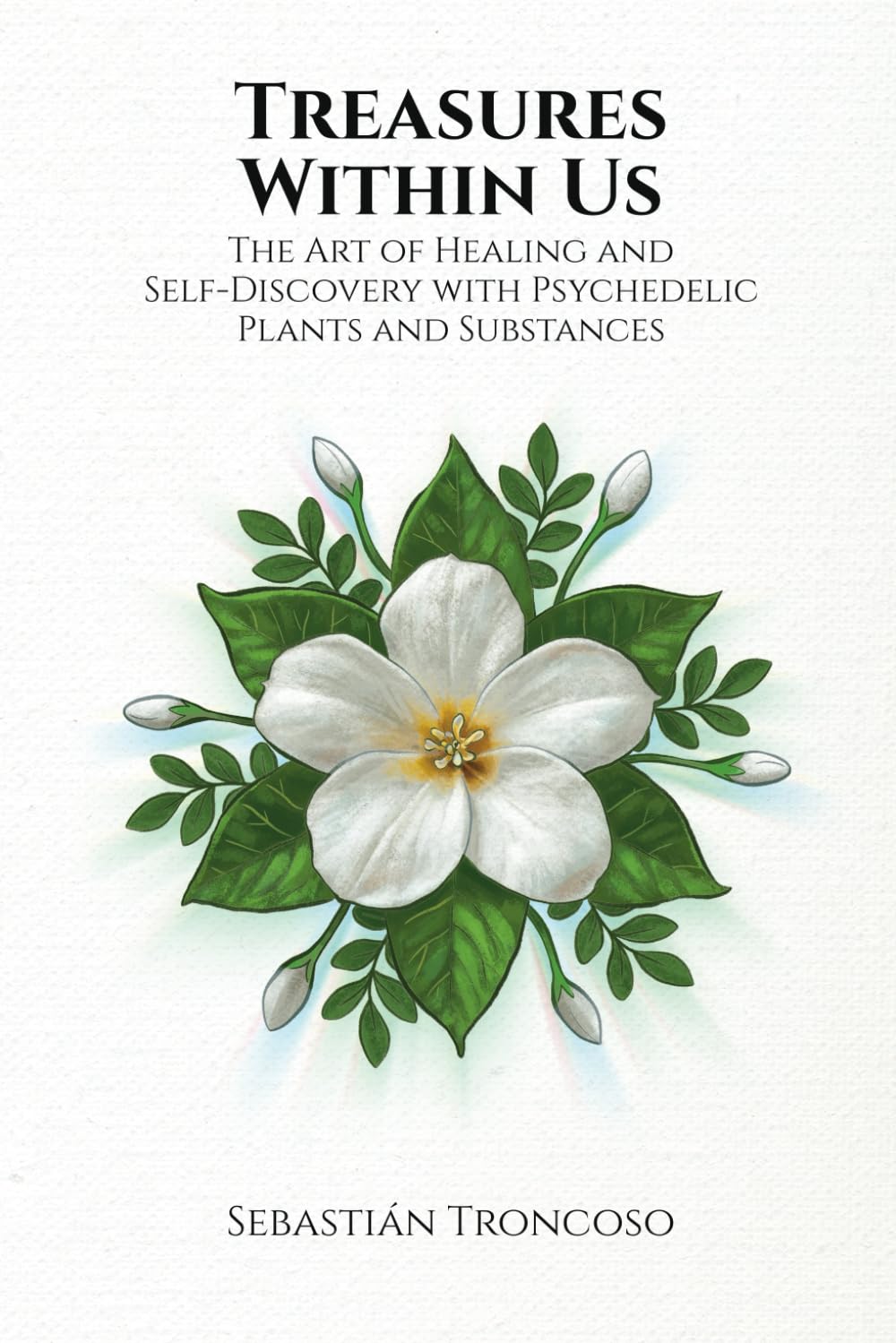 Treasures Within Us: The Art of Healing and Self-Discovery with Psychedelic Plants and Substances