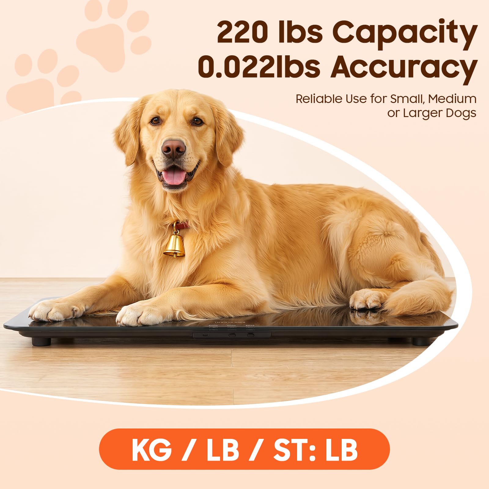 Bilancia cane Pet Scale Bilancia Animale Bilancia Peso Cane Casa Vet Salone Animale Misura Precisa 10g Display LED Funzione Tare Conversione Kg Lb St Surface Vetro ABS Antiscivolo Uso Domestico