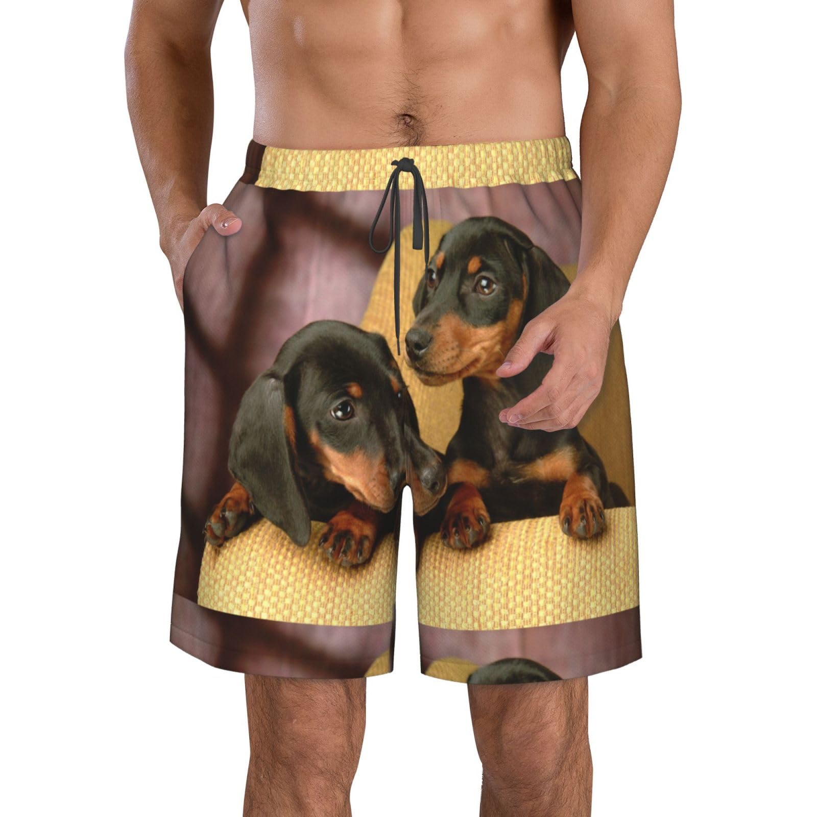 Hyaszst Men's As Shown Beach Pants Breathable Shorts Quick-Drying Shorts Swimming Trunks Drawstring Casual Pants,Dachshund Puppies Pets Dogs Small Dachshund,,S