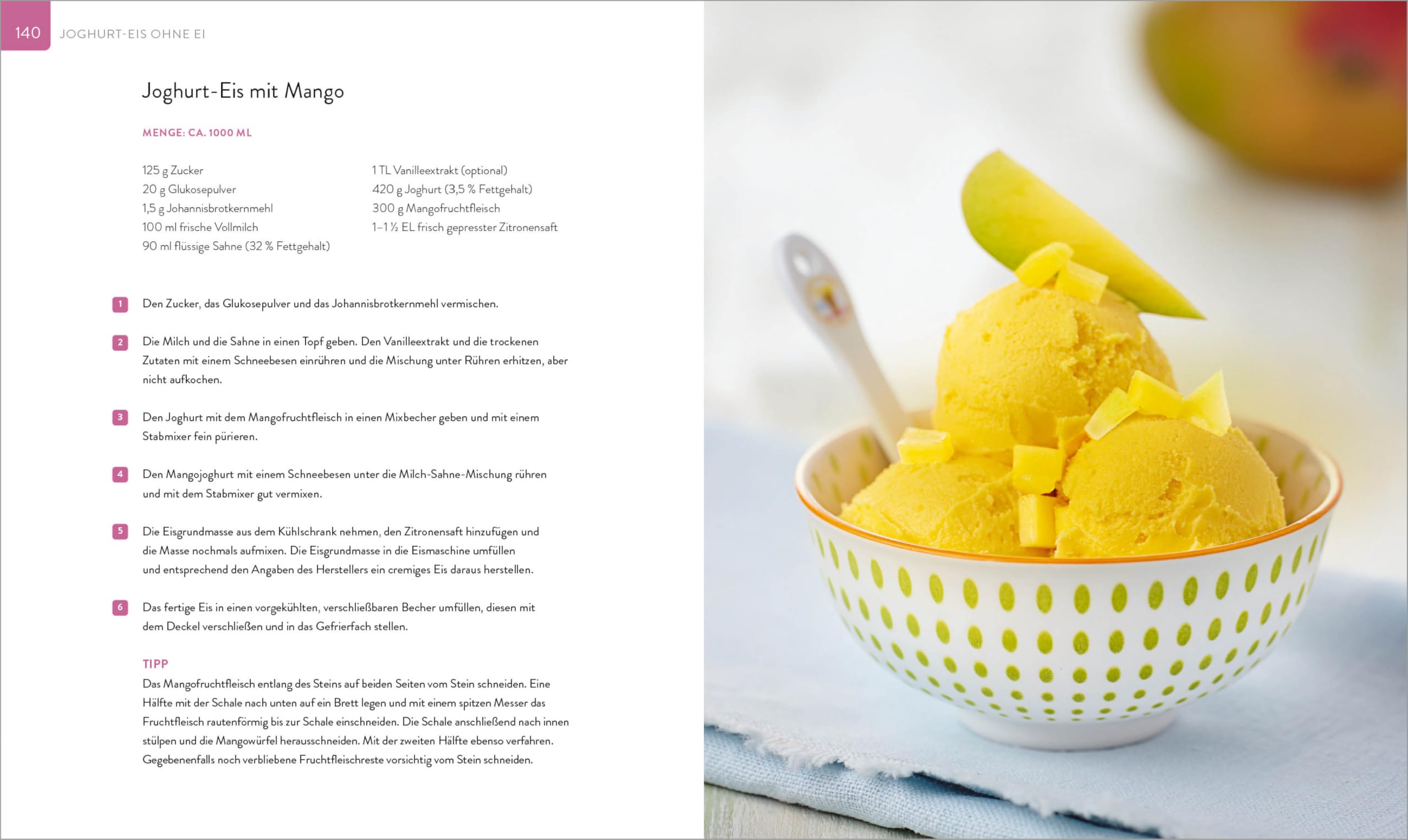 Die Eis Bibel. Eis, Sorbets, Parfaits, Frozen Desserts. 100 kreative Eis-Rezepte für die Eismaschine