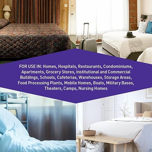 Miniatura 3 de JT Eaton 365 – Insecticida en polvareda de ácido bórico, 5 libras, cubeta resellable (paquete de 4)