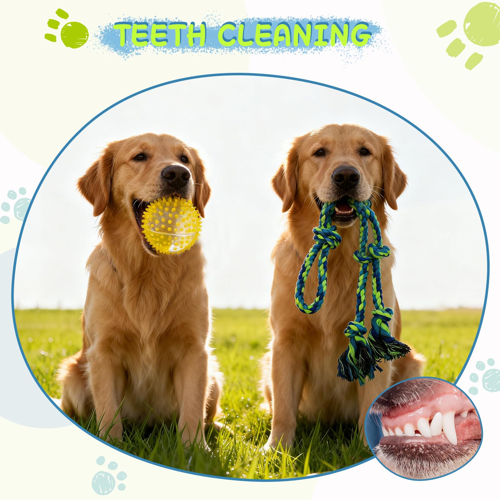 Waldseemüller Set di 4 giocattoli per cani, giochi per cani, giochi interattivi, pallina interattiva, pallina per cani di grossa taglia con una confezione regalo