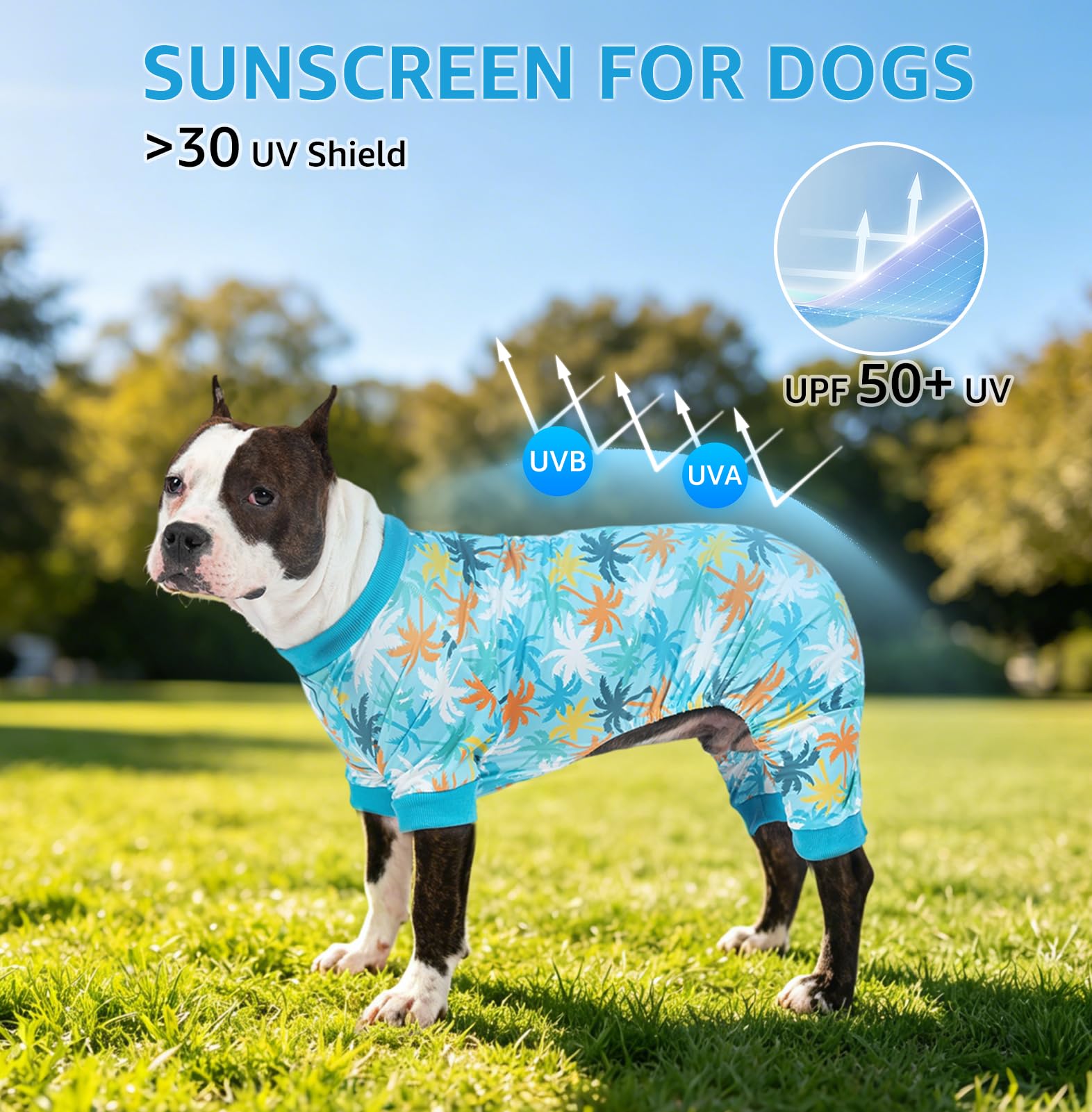 SCENEREAL Chemise de soleil pour chien, gilet rafraîchissant, séchage rapide, respirant, combinaison légère pour animal domestique, résistant à la saleté, contrôle de la perte des poils, pour chiens