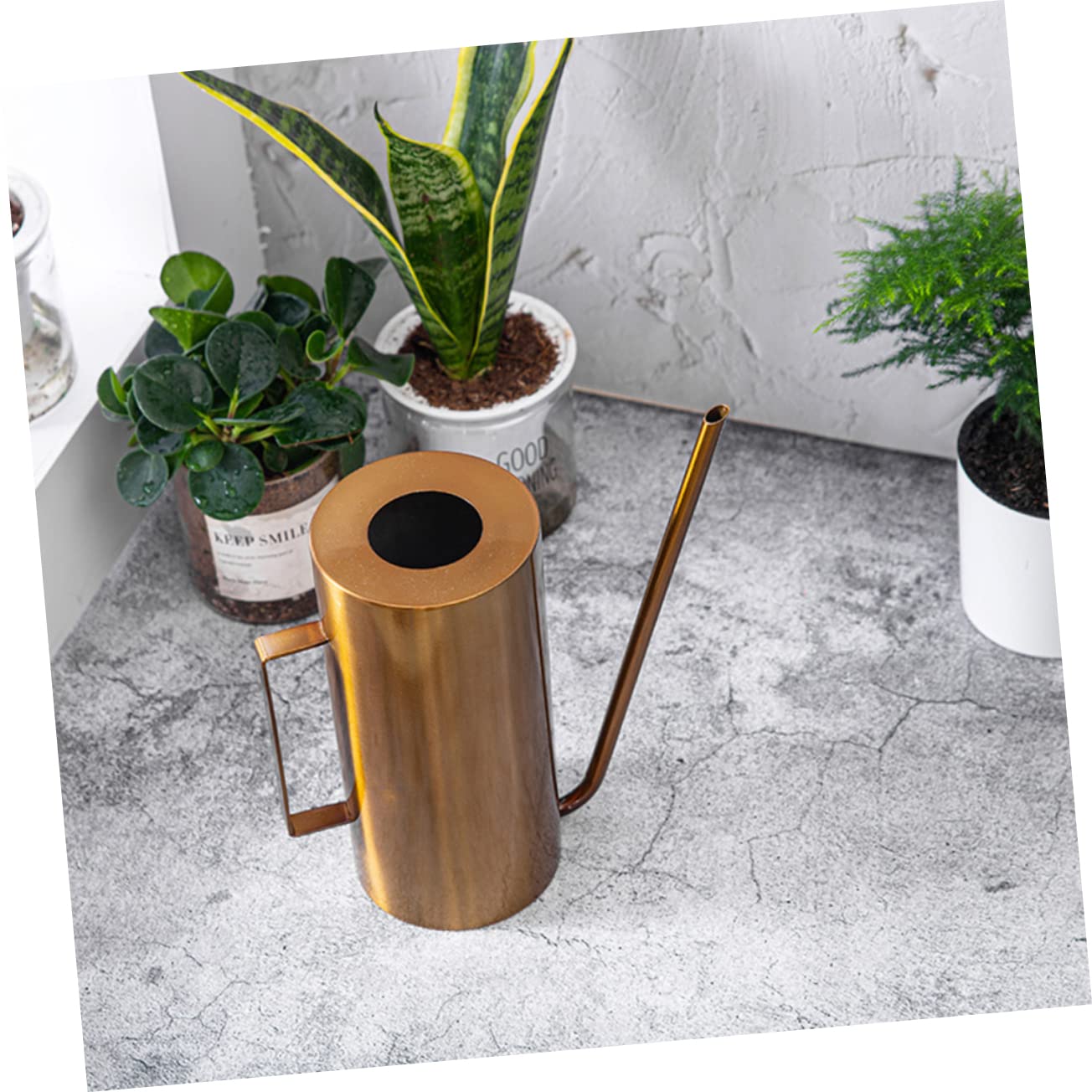 POPETPOP Annaffiatoio senza Schizzi Beccuccio in Acciaio Inox, Grande Capacità per Fiori e Piante, Casa e Giardino